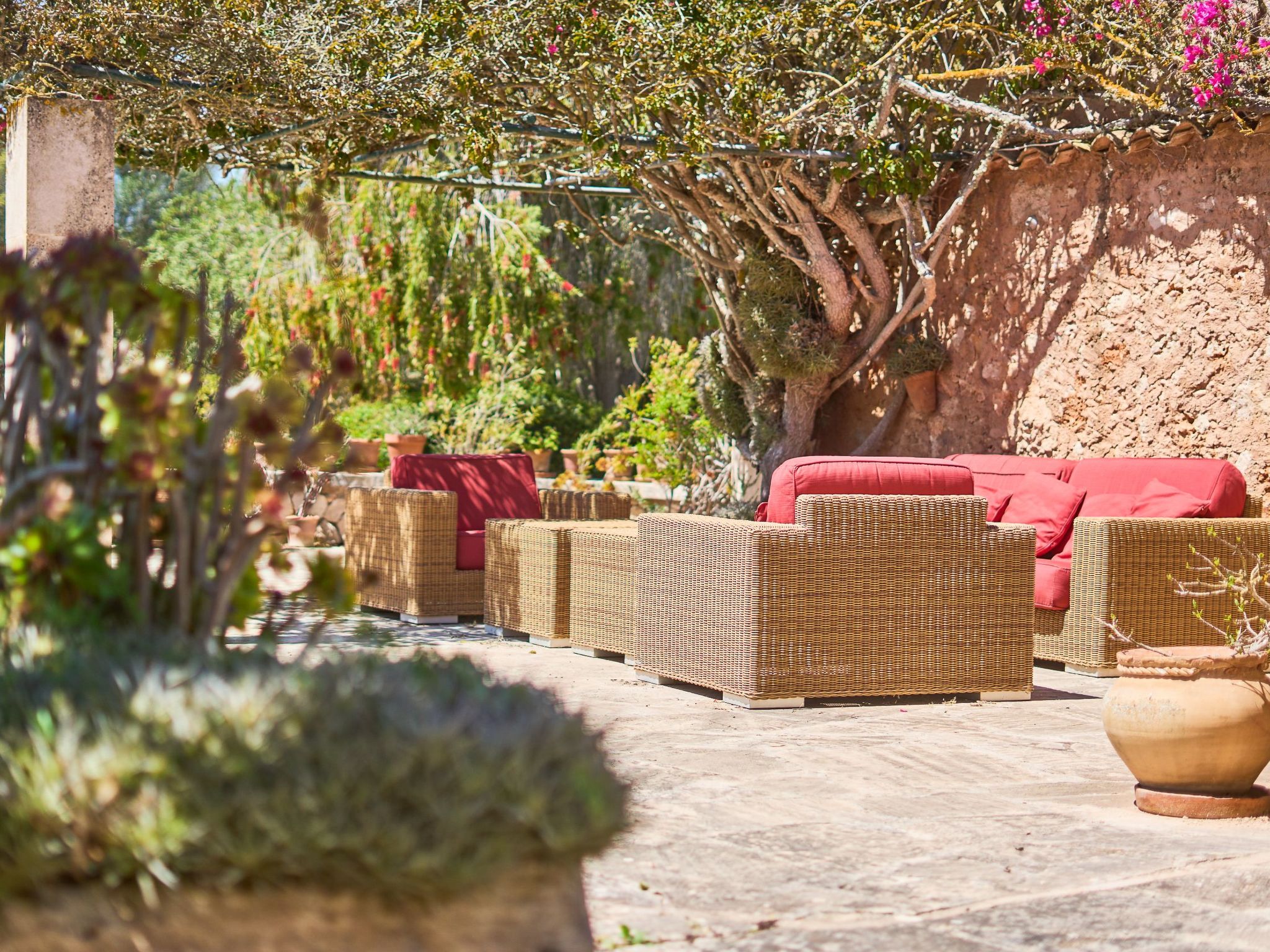 Finca Mal Ric-Image-tags.info