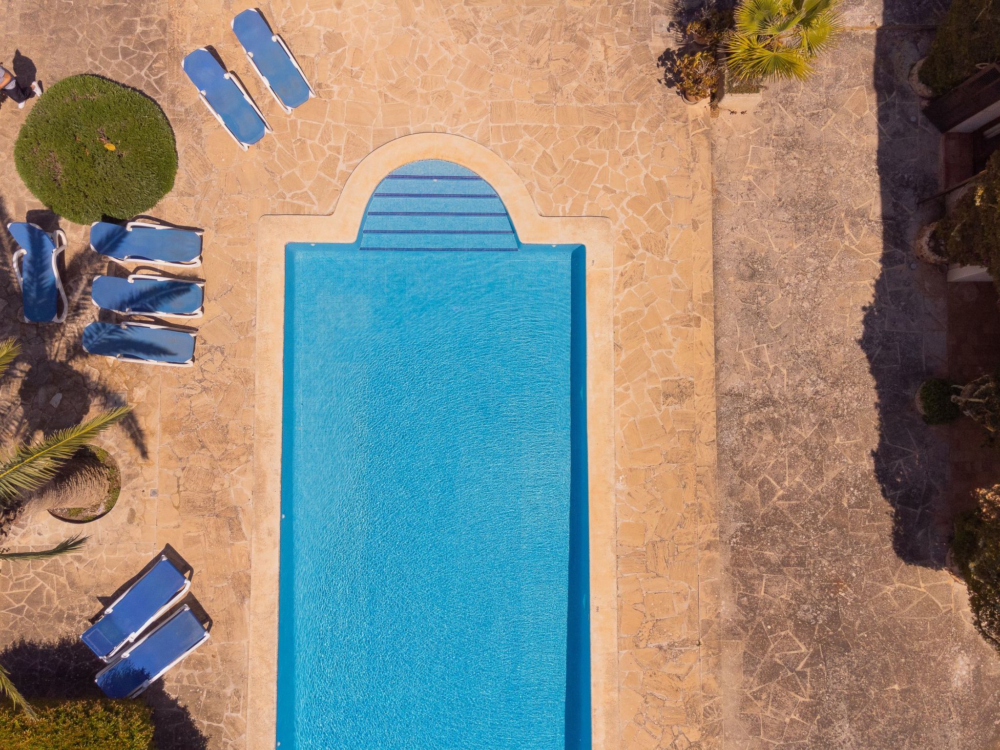 Finca Mal Ric-Image-tags.info