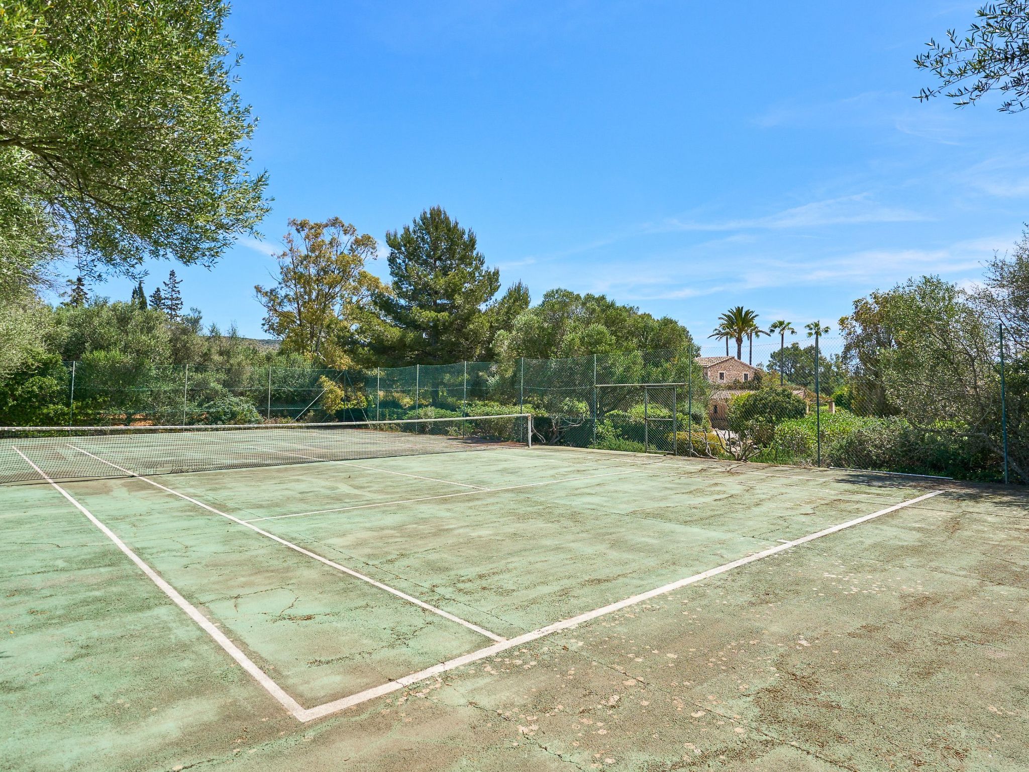 Finca Mal Ric-Image-tags.info