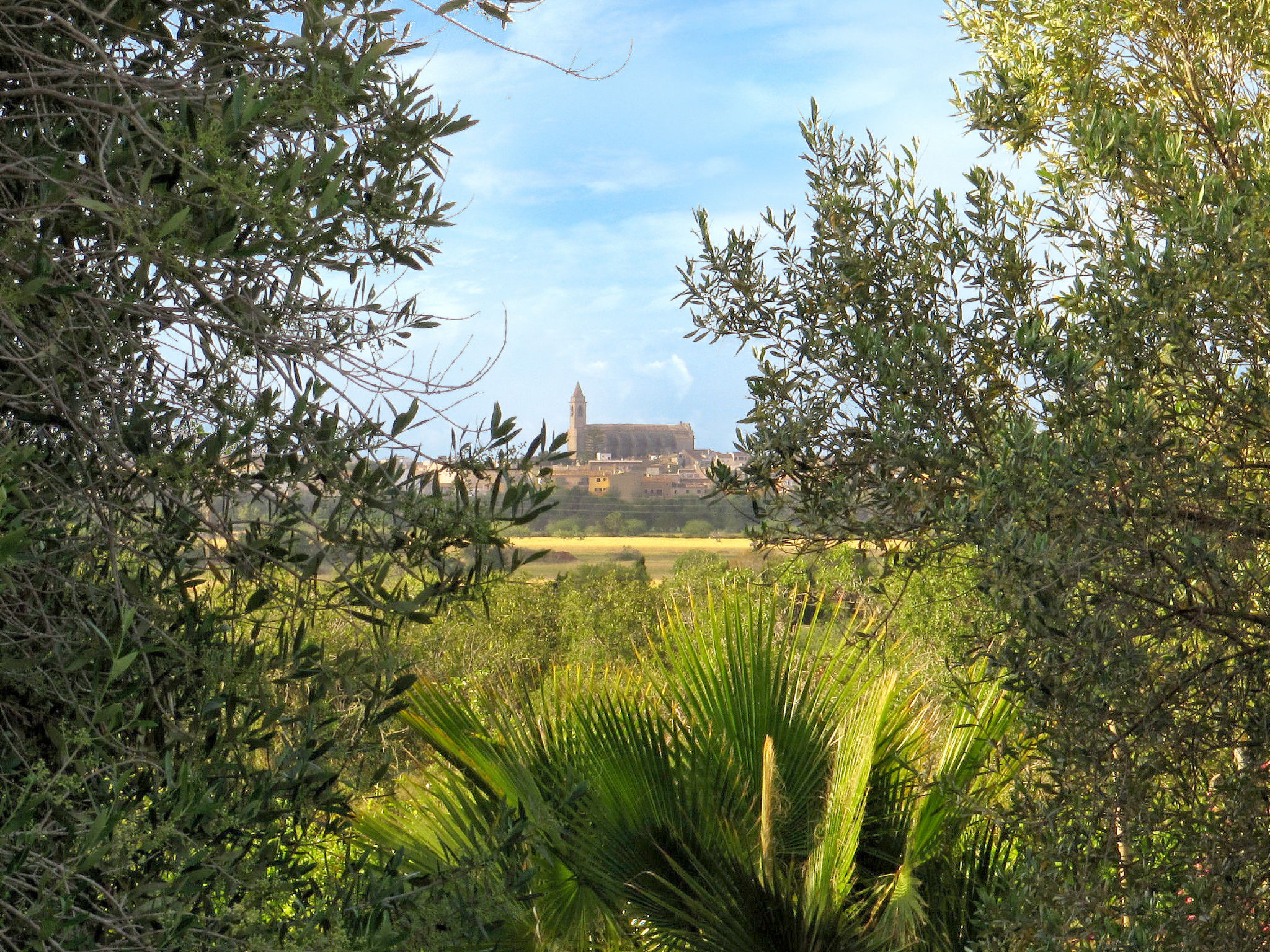 Finca Mal Ric-Omgeving