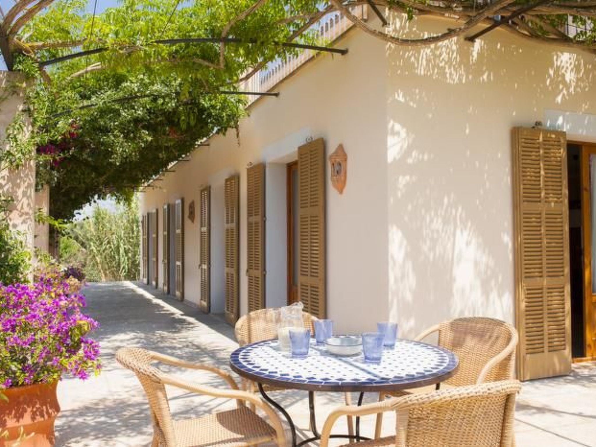 Xemarri-Image-tags.info