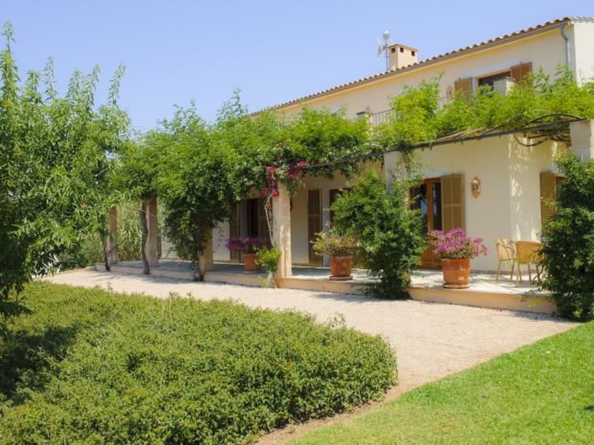 Xemarri-Image-tags.info