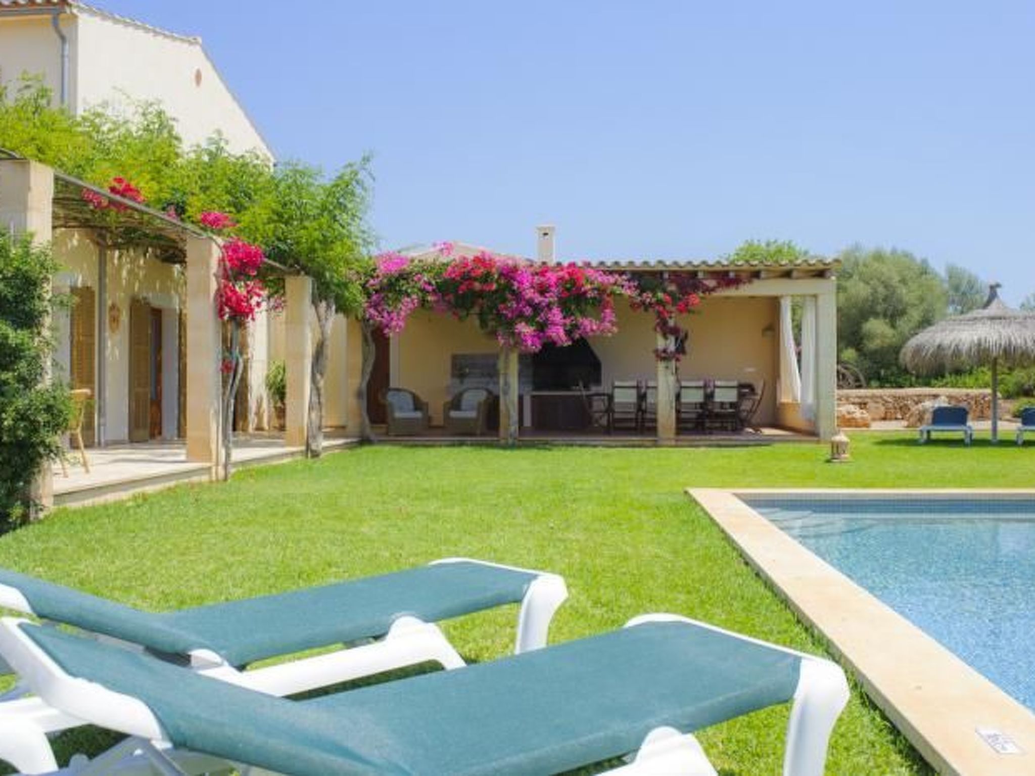 Xemarri-Image-tags.info