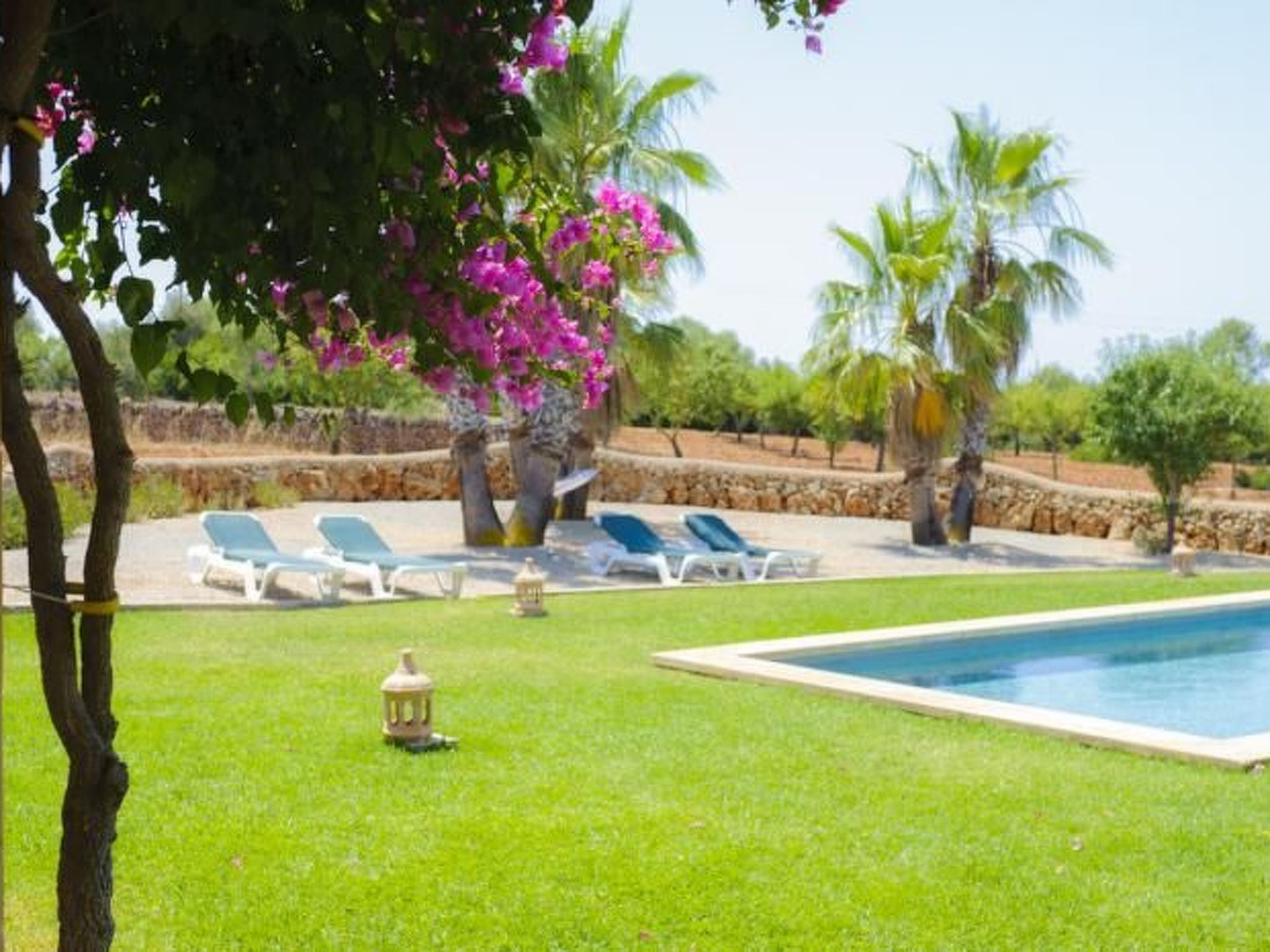 Xemarri-Image-tags.info