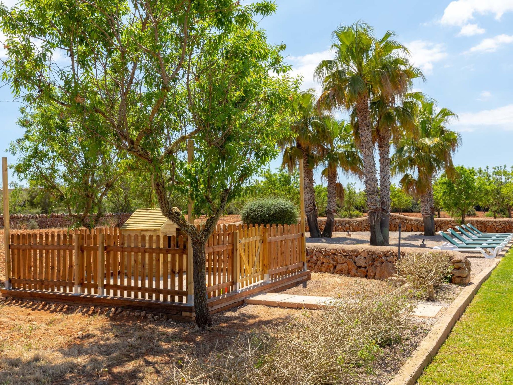 Xemarri-Image-tags.info