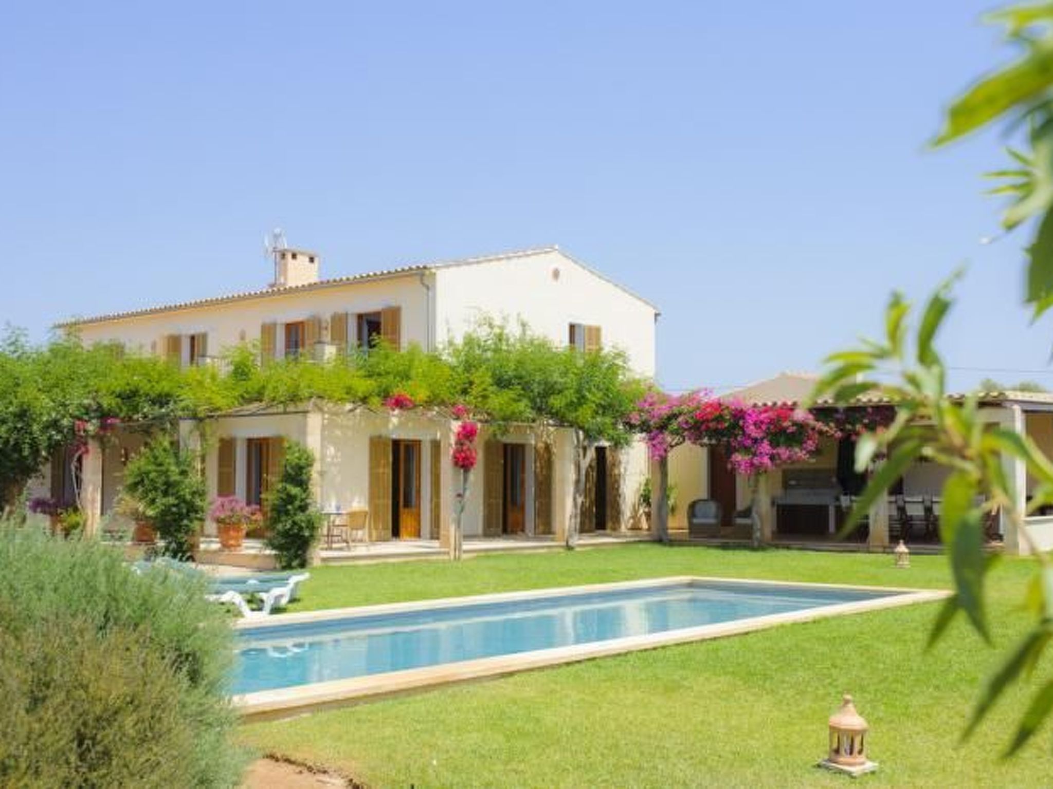 Xemarri-Image-tags.info