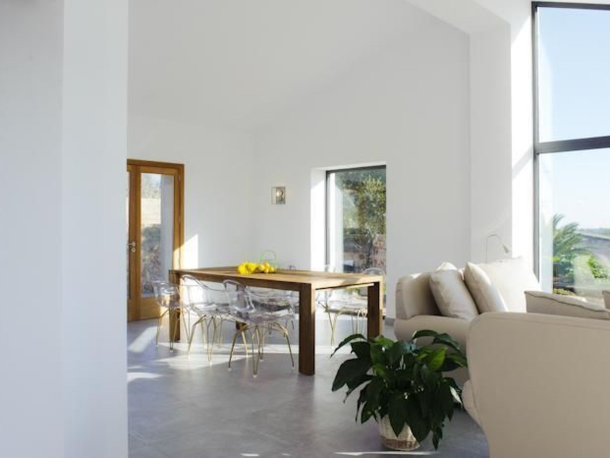 Salom Verd-Image-tags.info