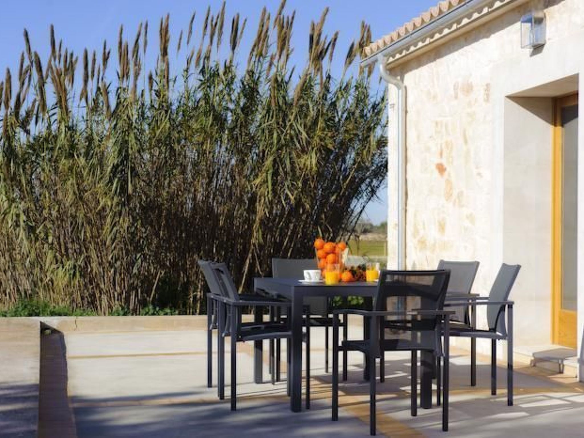 Salom Verd-Image-tags.info