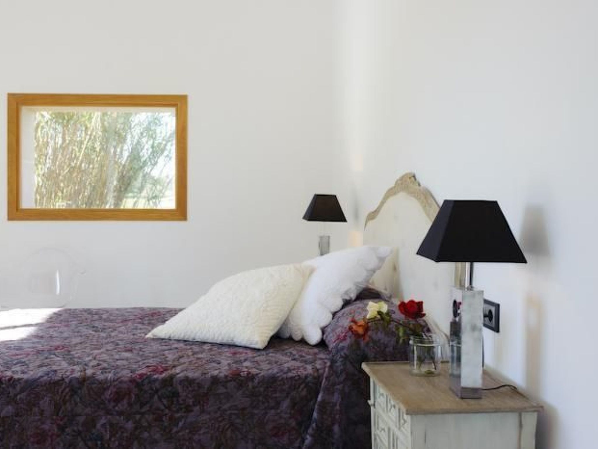 Salom Verd-Image-tags.info