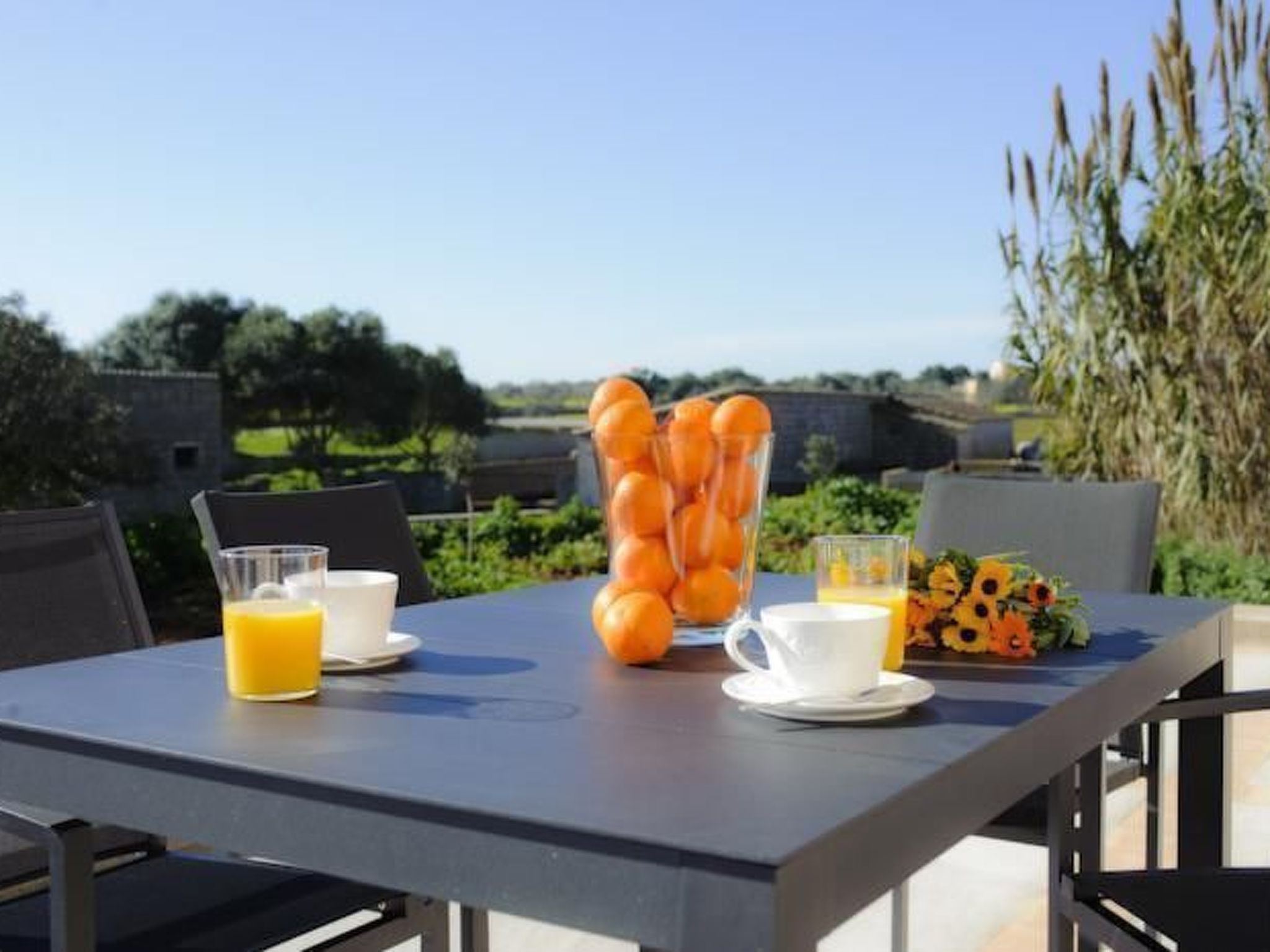 Salom Verd-Image-tags.info