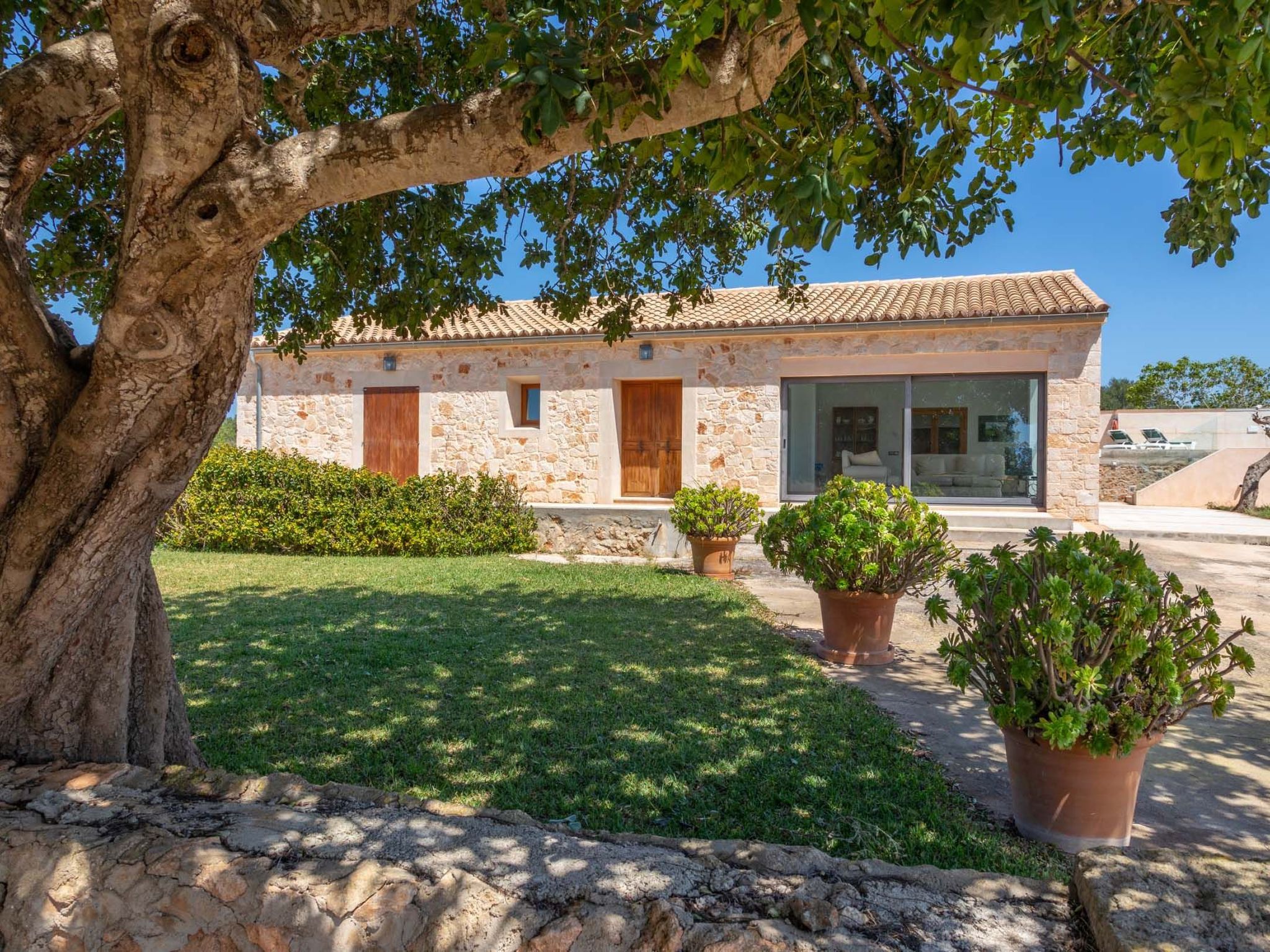 Salom Verd-Image-tags.info