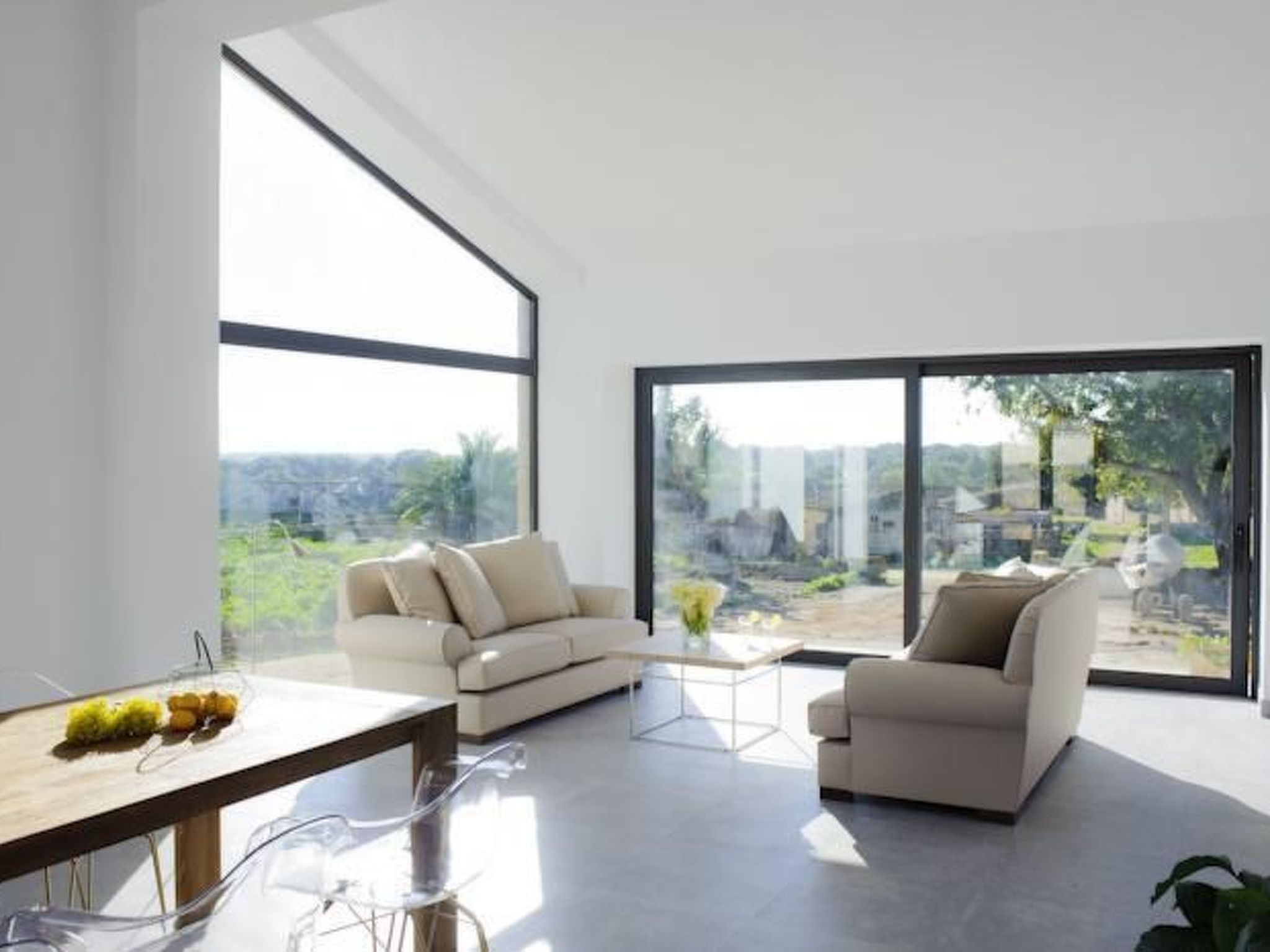 Salom Verd-Image-tags.info