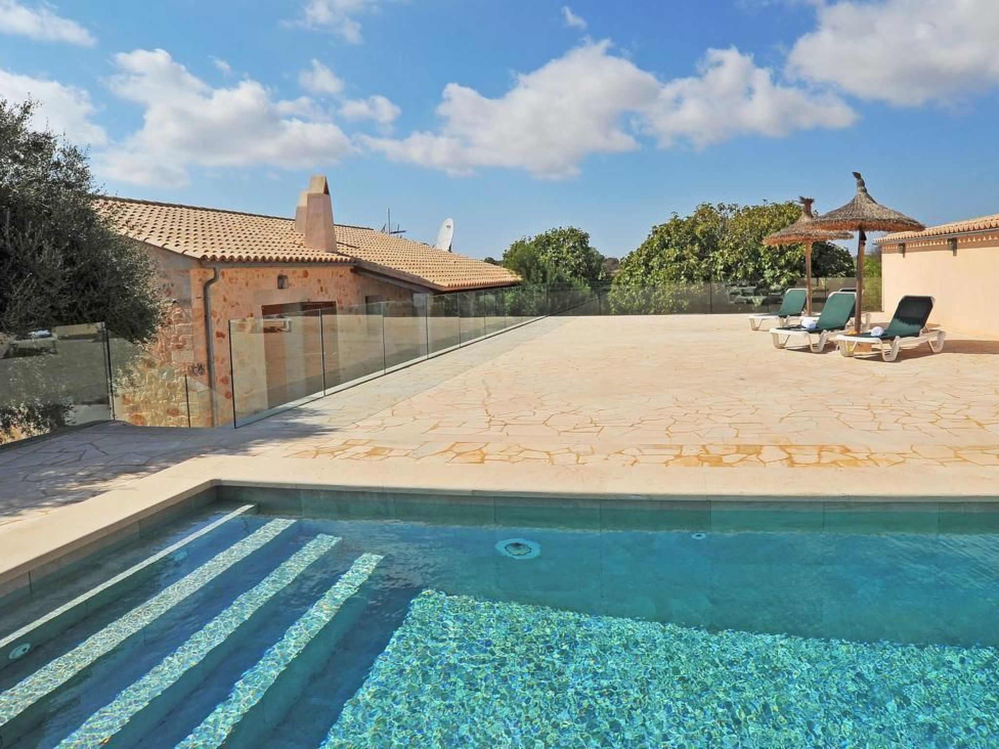 Salom Verd-Image-tags.info