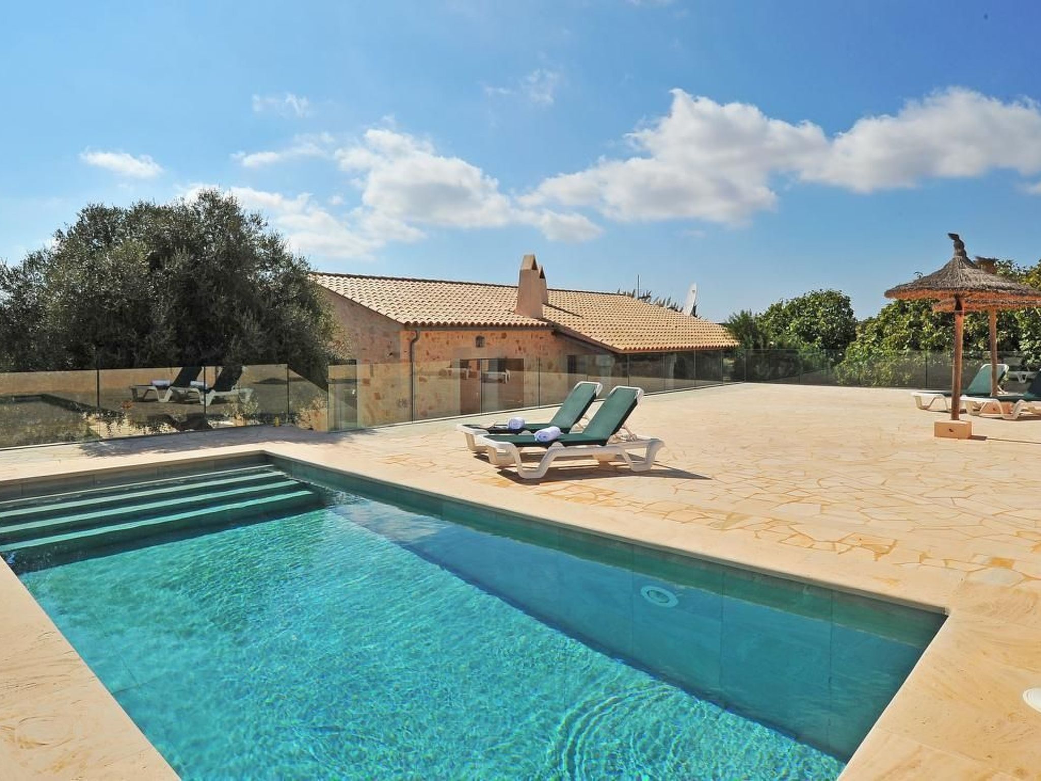 Salom Verd-Image-tags.info