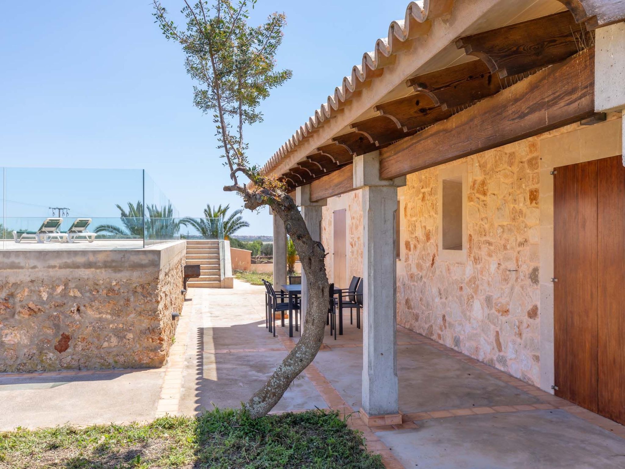 Salom Verd-Image-tags.info