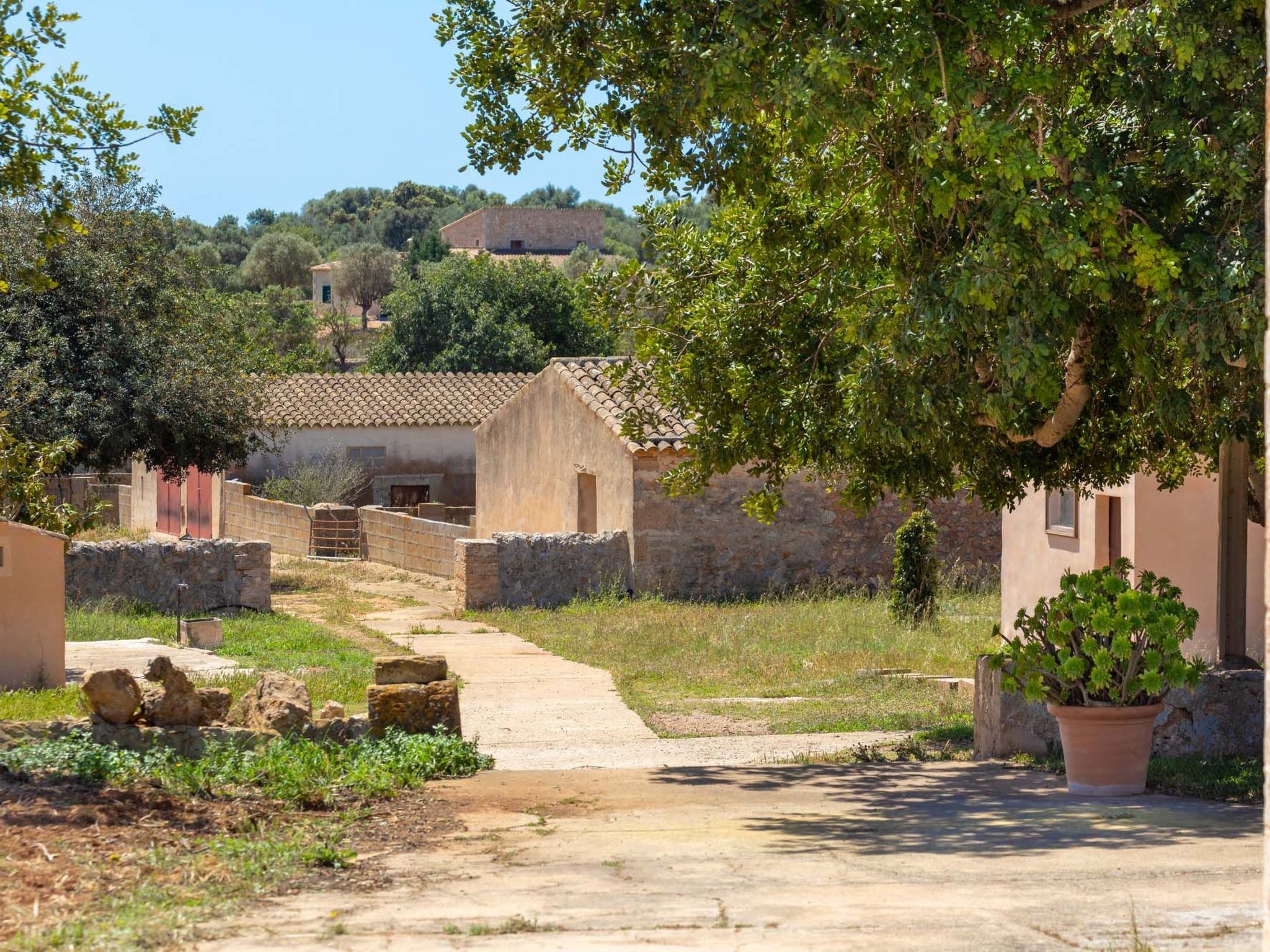 Salom Verd-Image-tags.info