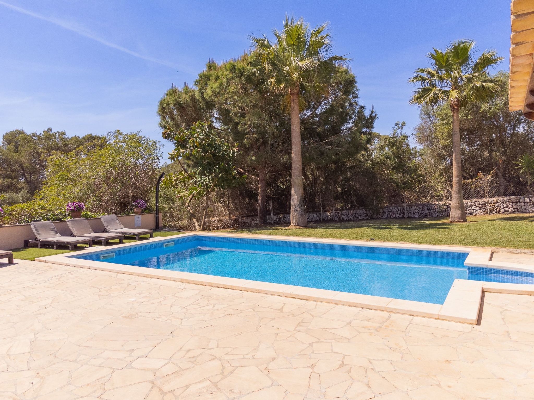 Torrent des Jai-Image-tags.info