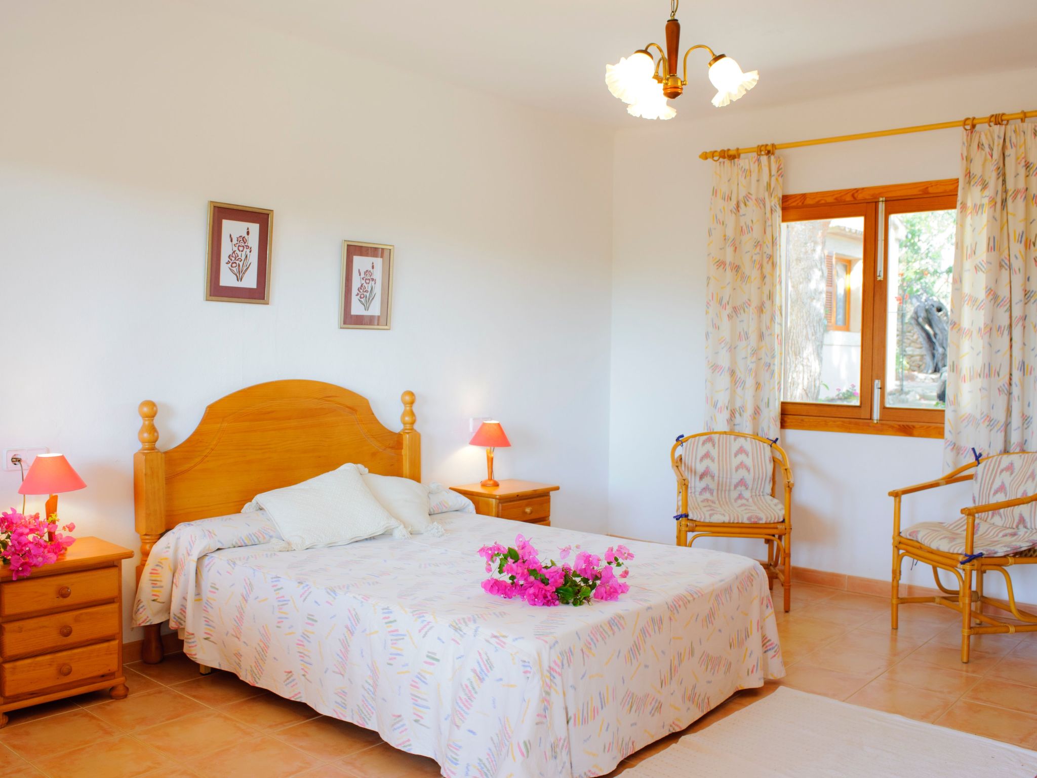 Torrent des Jai-Image-tags.info