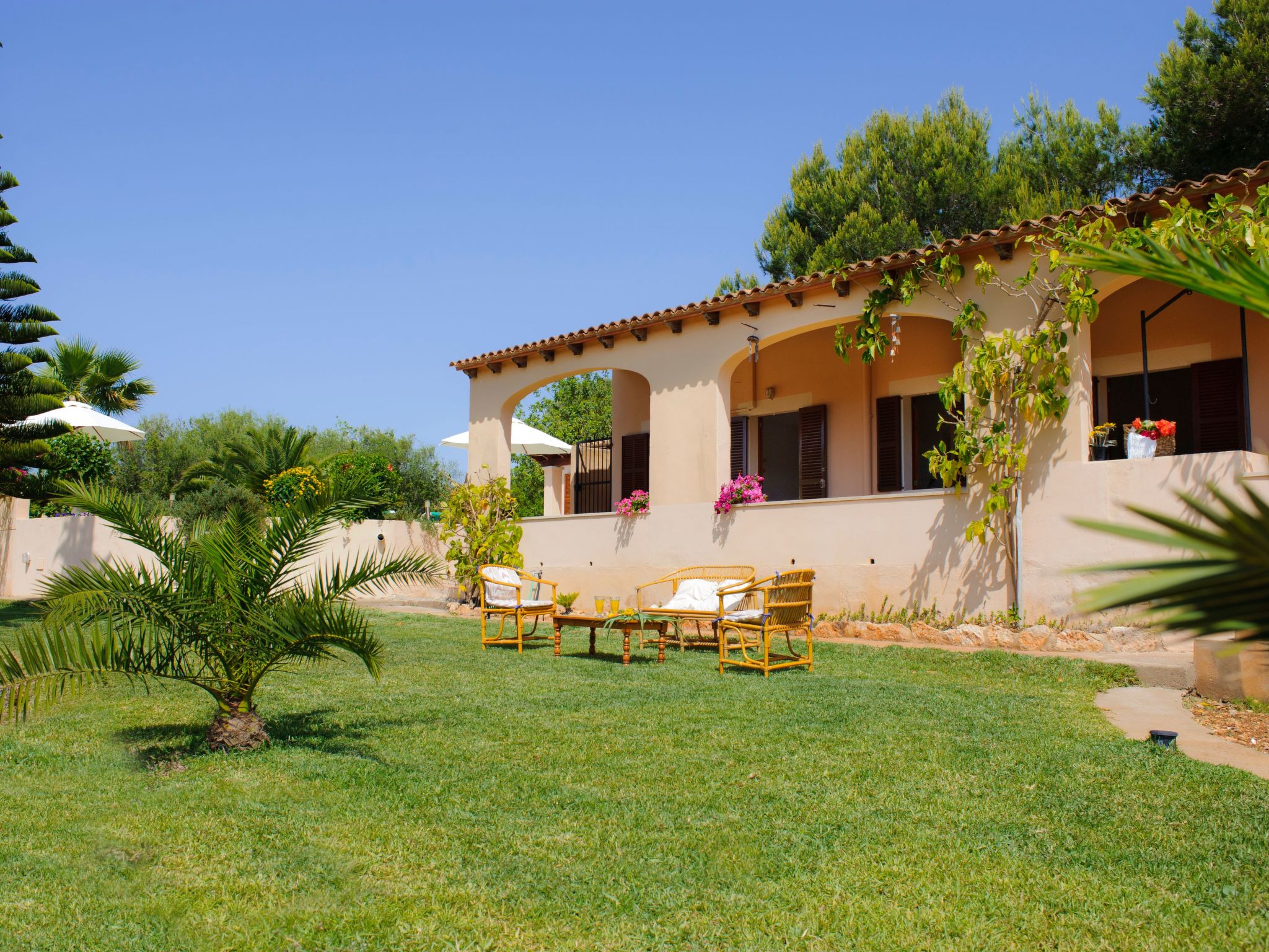 Torrent des Jai-Image-tags.info