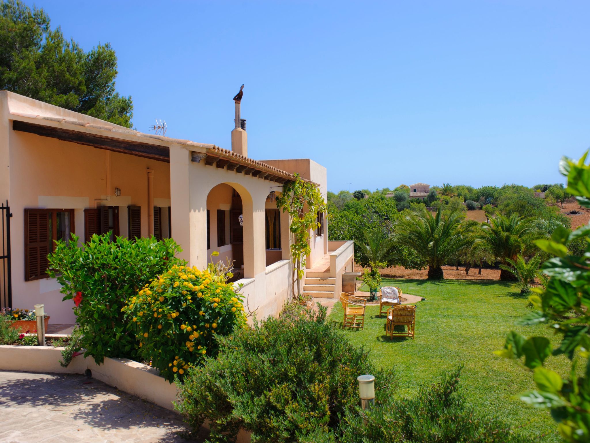 Torrent des Jai-Image-tags.info