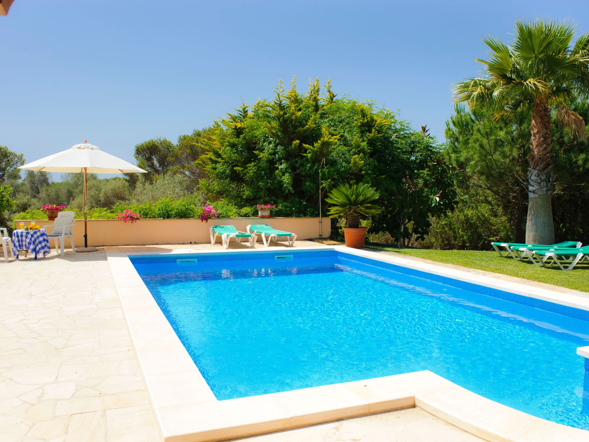 Torrent des Jai-Image-tags.info