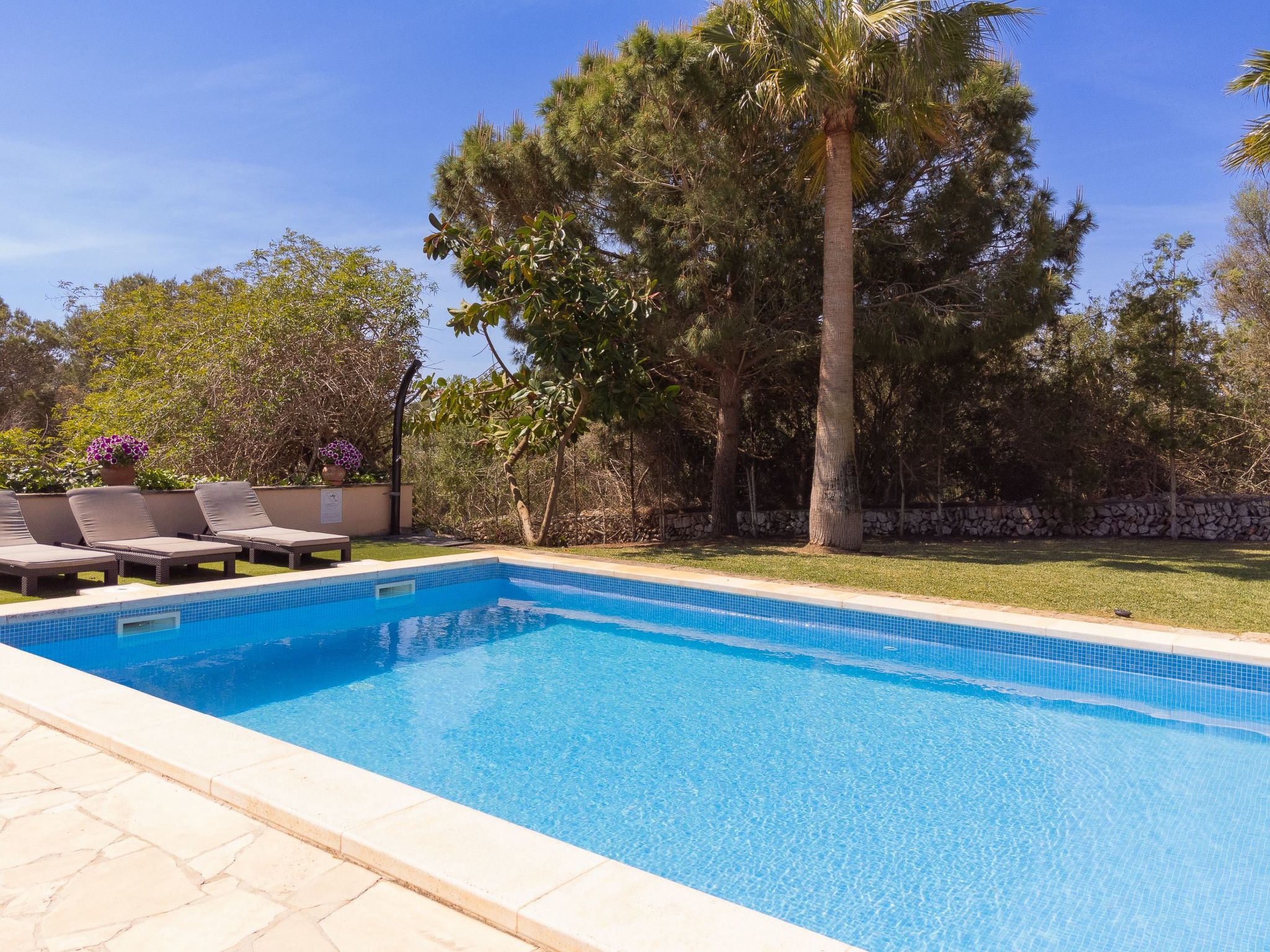 Torrent des Jai-Image-tags.info