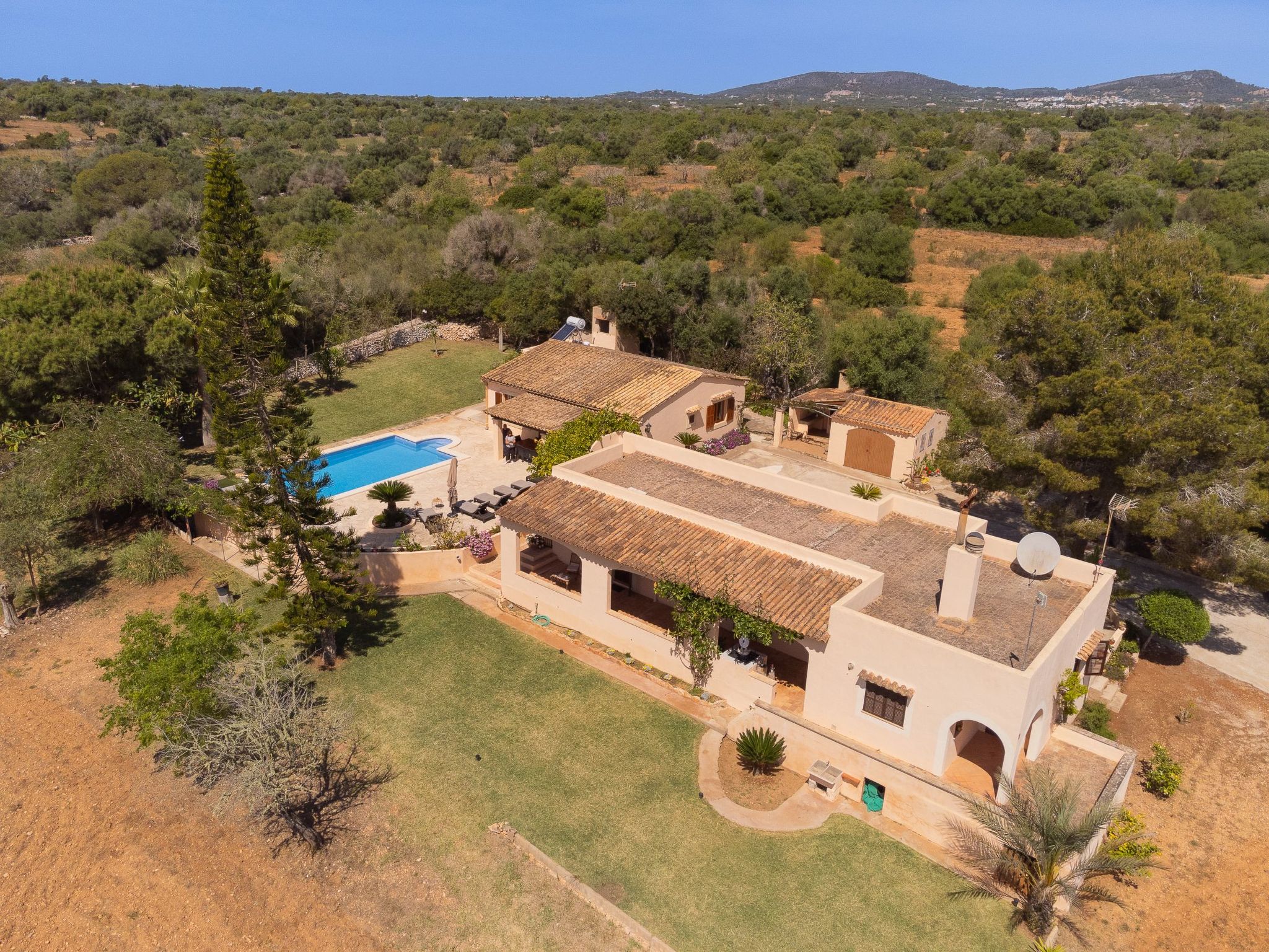 Torrent des Jai-Image-tags.info