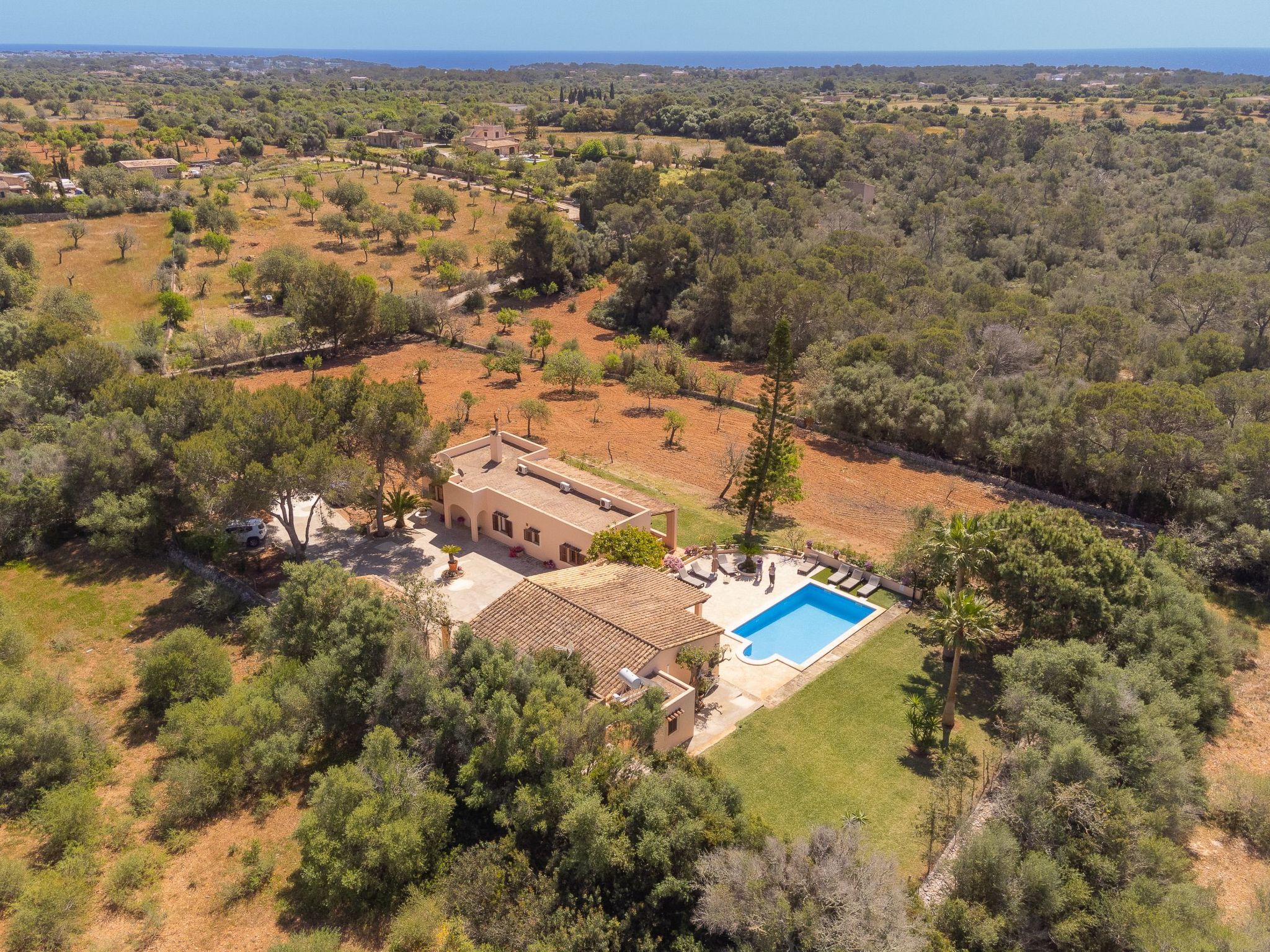 Torrent des Jai-Image-tags.info