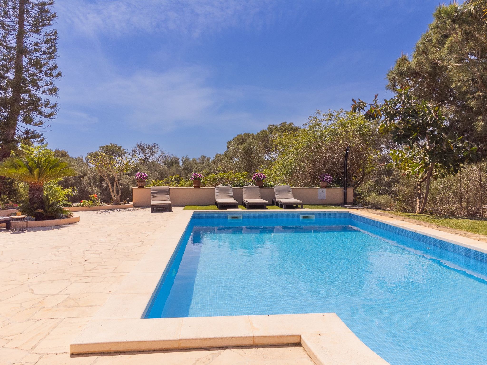 Torrent des Jai-Image-tags.info