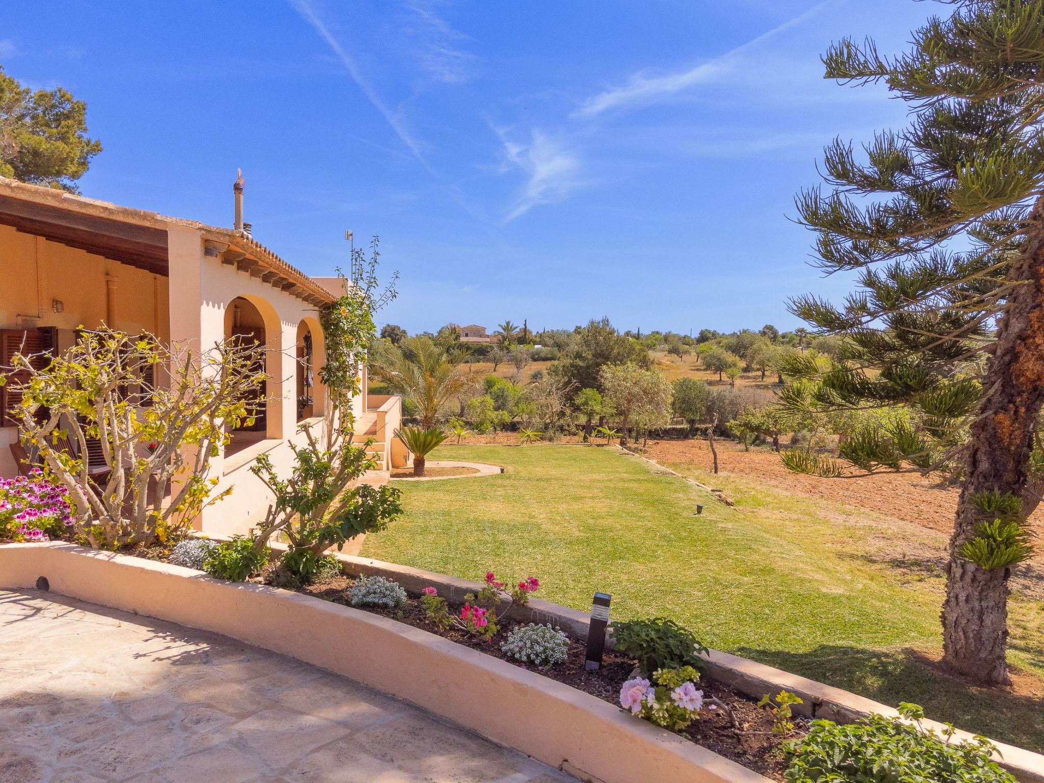 Torrent des Jai-Image-tags.info