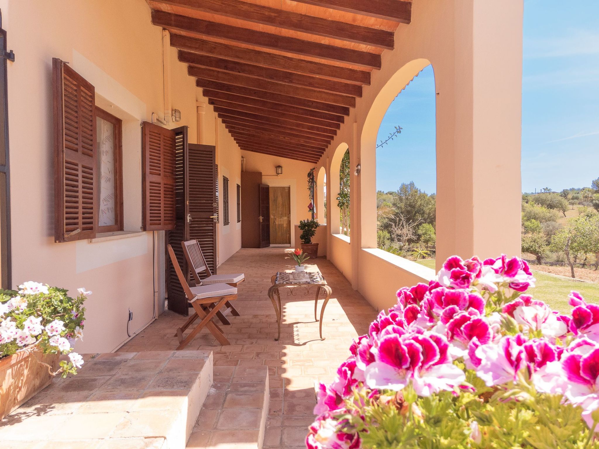 Torrent des Jai-Image-tags.info