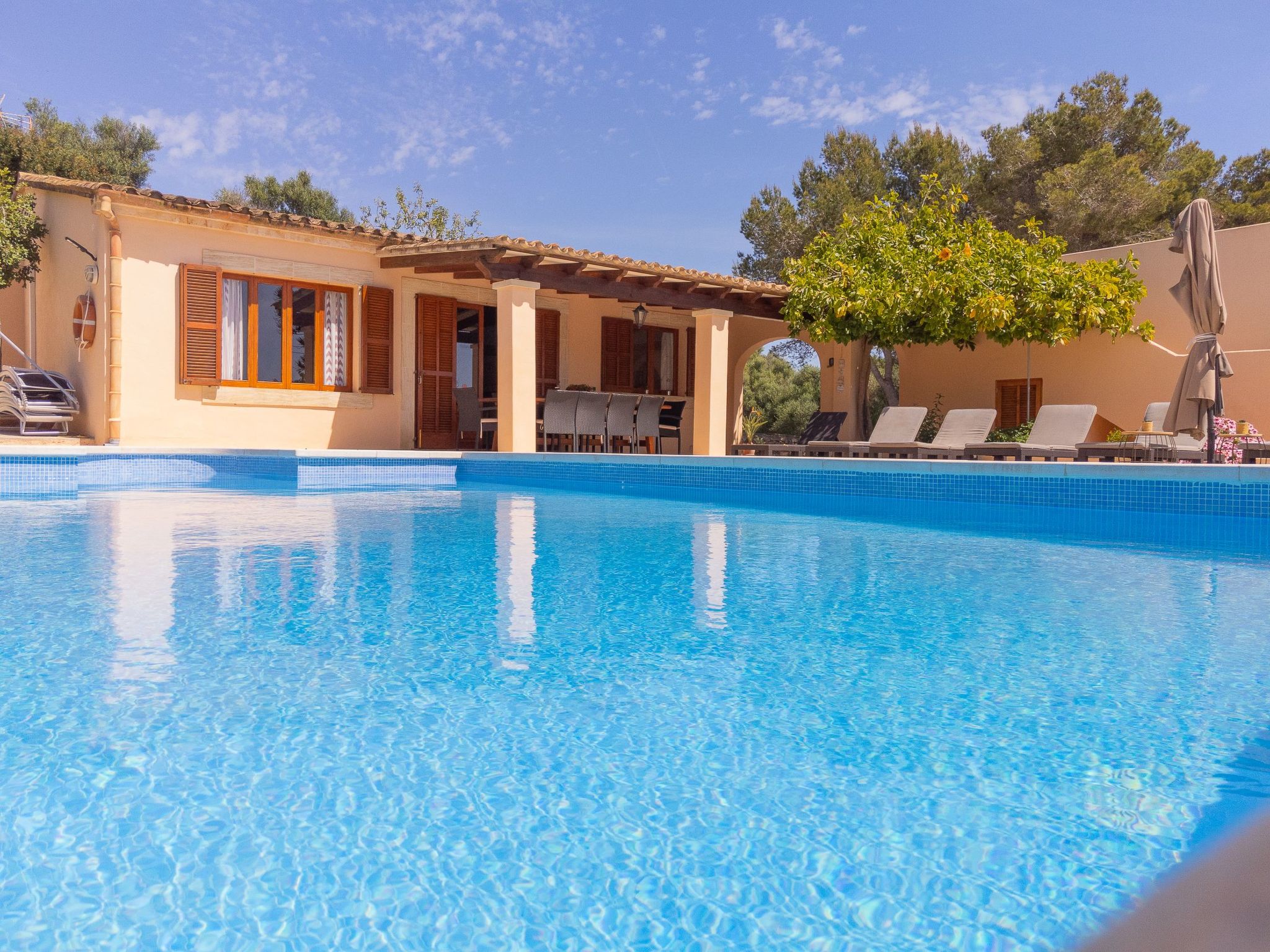 Torrent des Jai-Image-tags.info