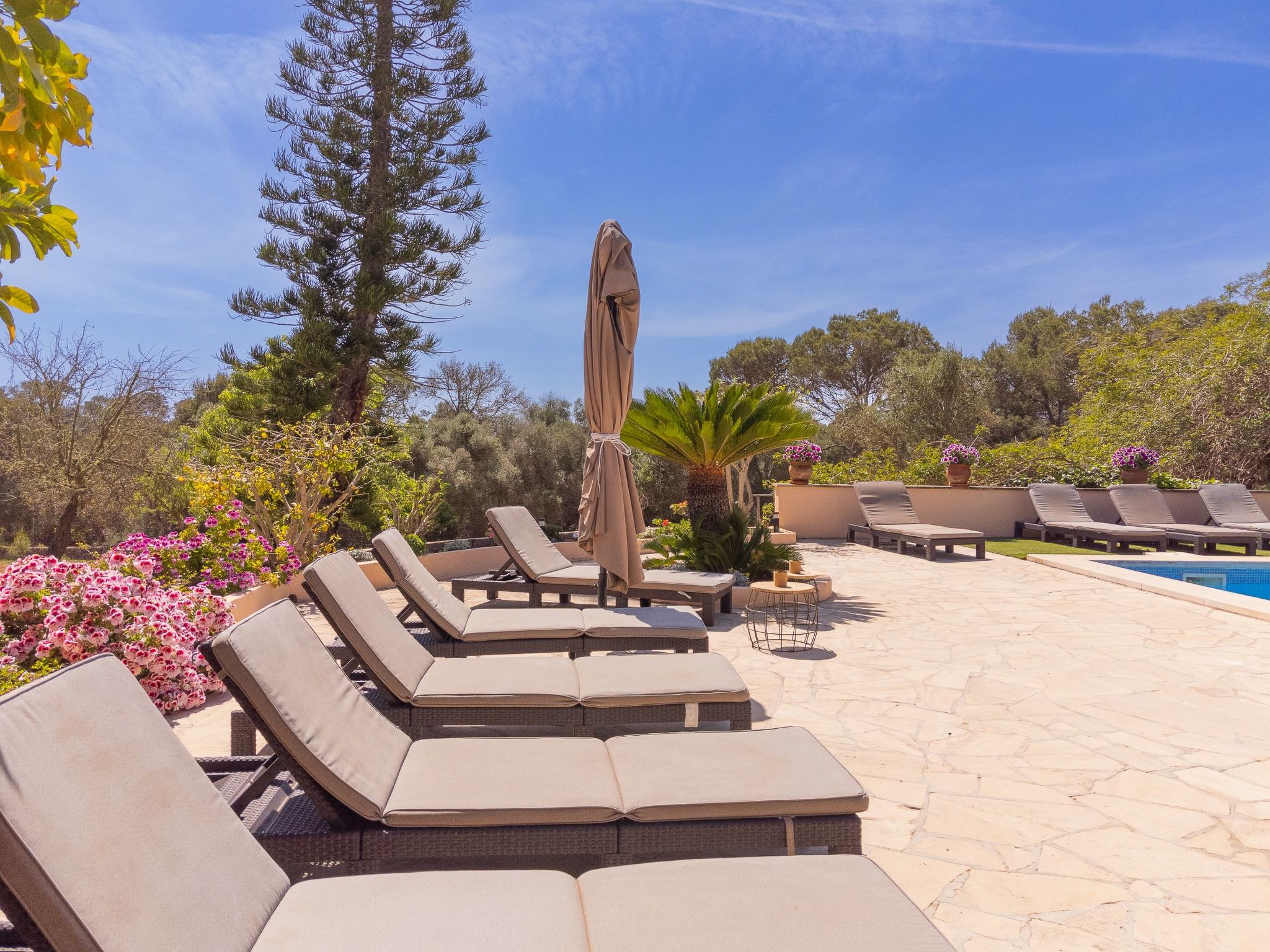 Torrent des Jai-Image-tags.info