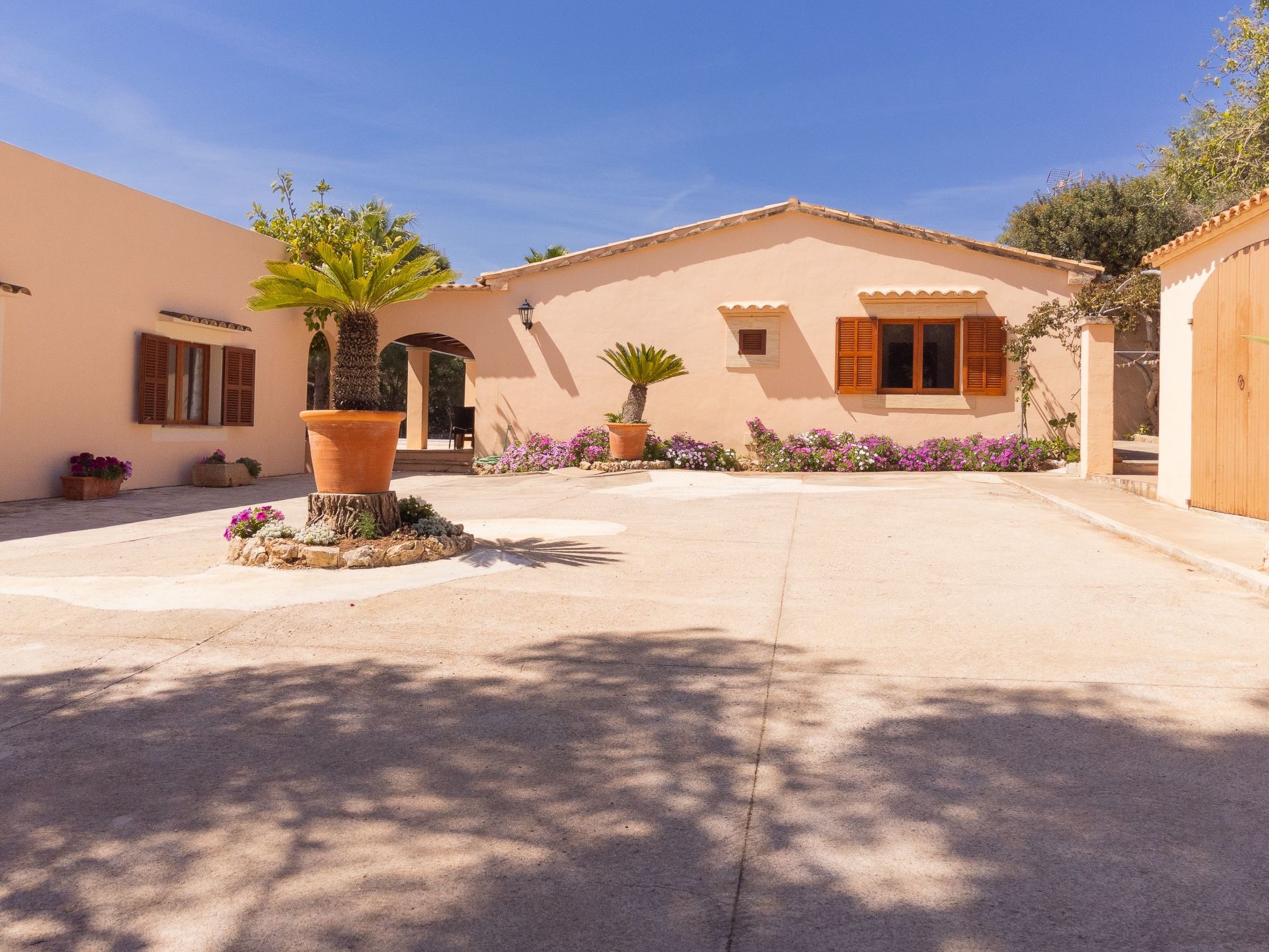 Torrent des Jai-Image-tags.info