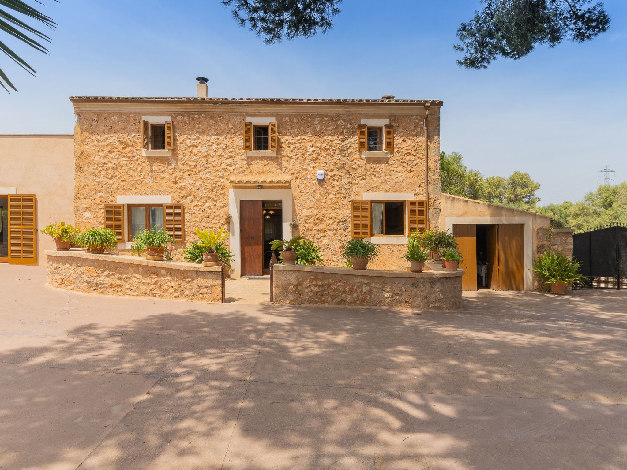 Angoixes-Image-tags.info