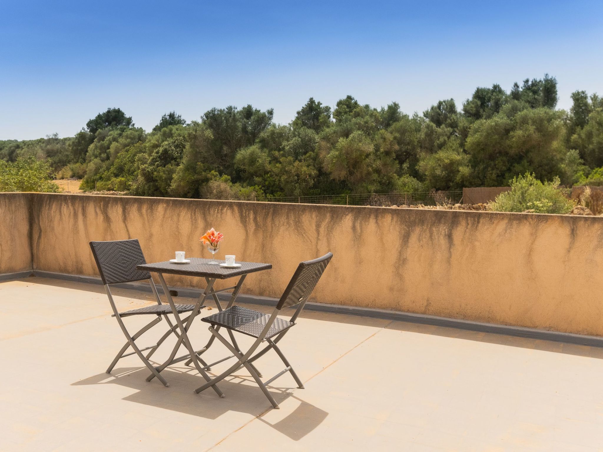 Angoixes-Image-tags.info