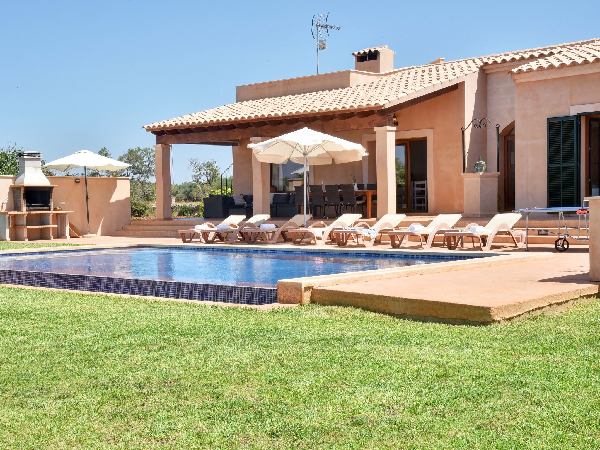 Xorca-Image-tags.info