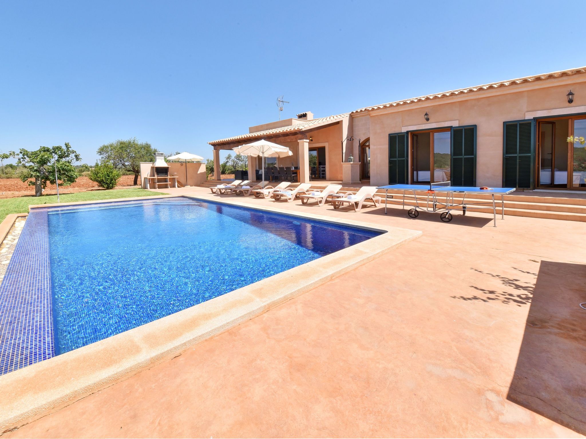 Xorca-Image-tags.info