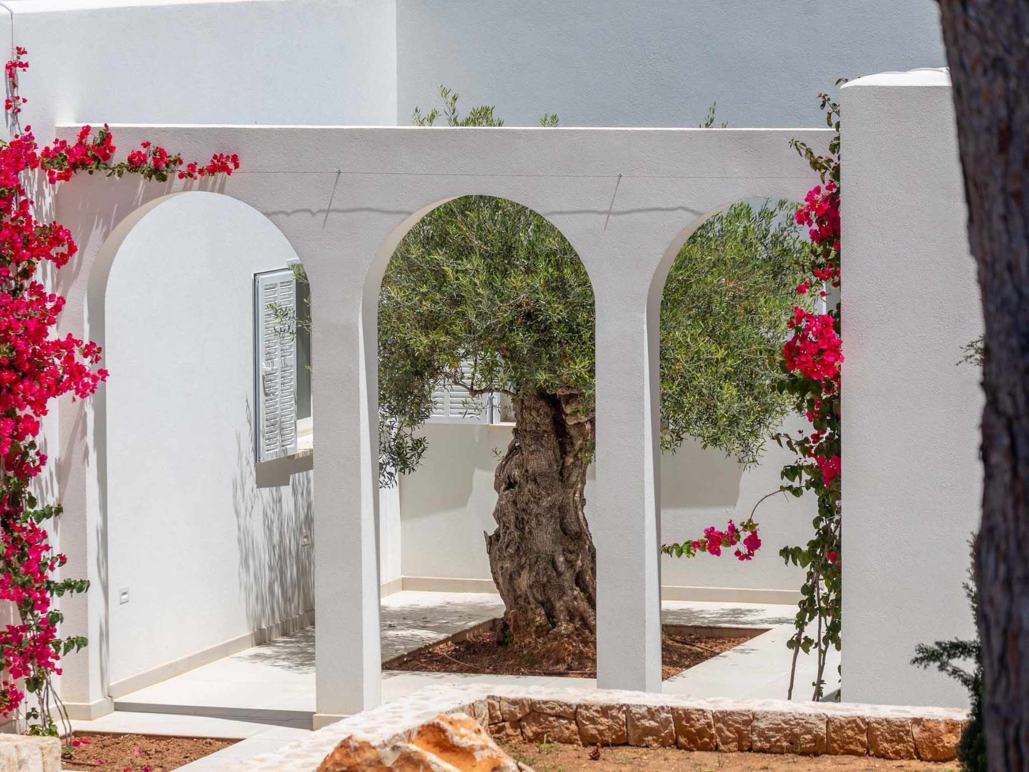 Magdala-Image-tags.info