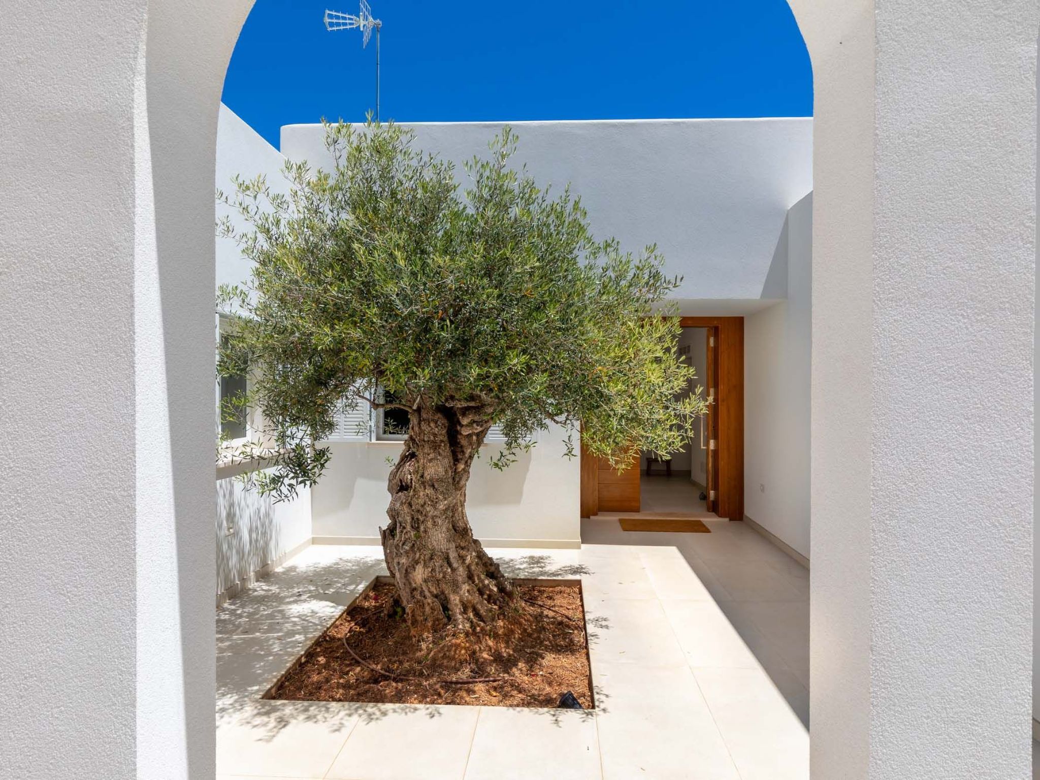 Magdala-Image-tags.info