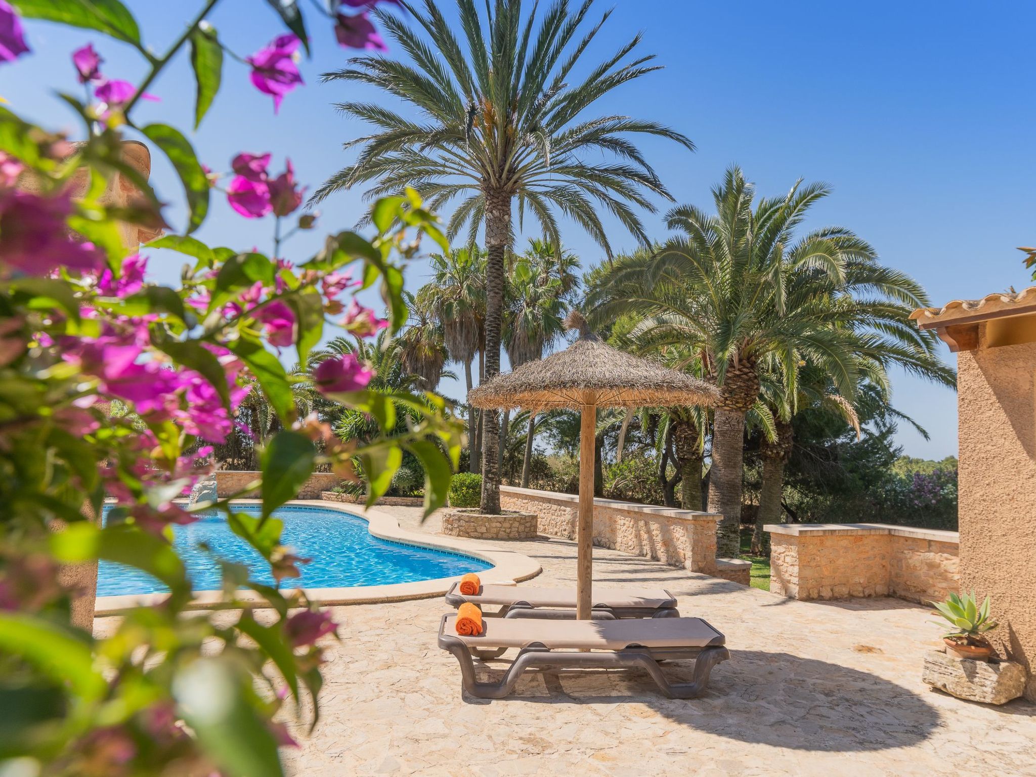 Jardi-Image-tags.info