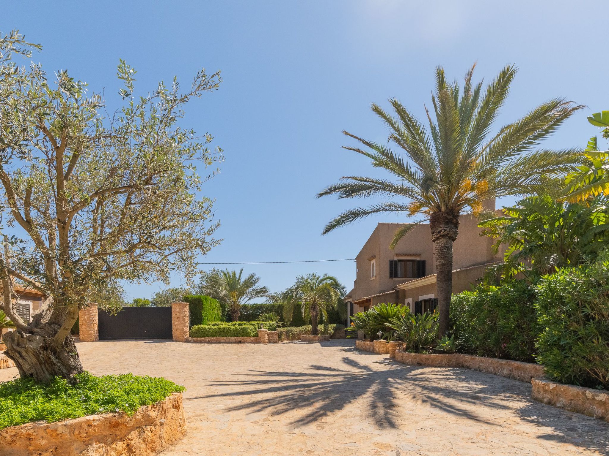 Jardi-Image-tags.info