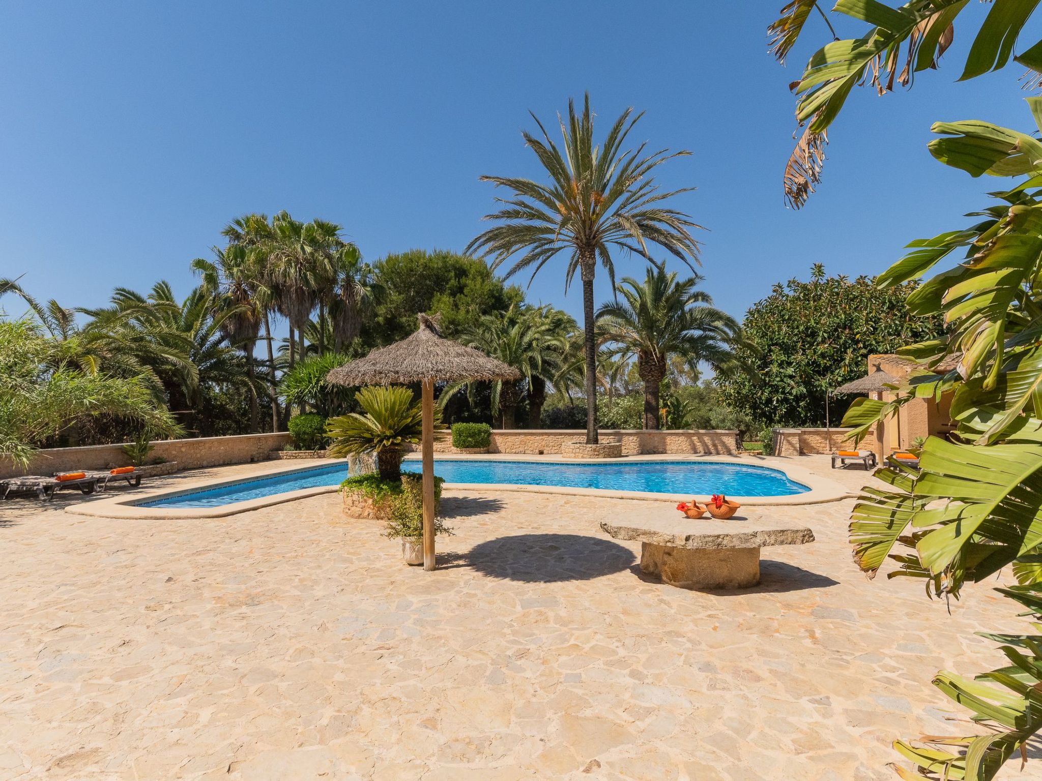 Jardi-Image-tags.info