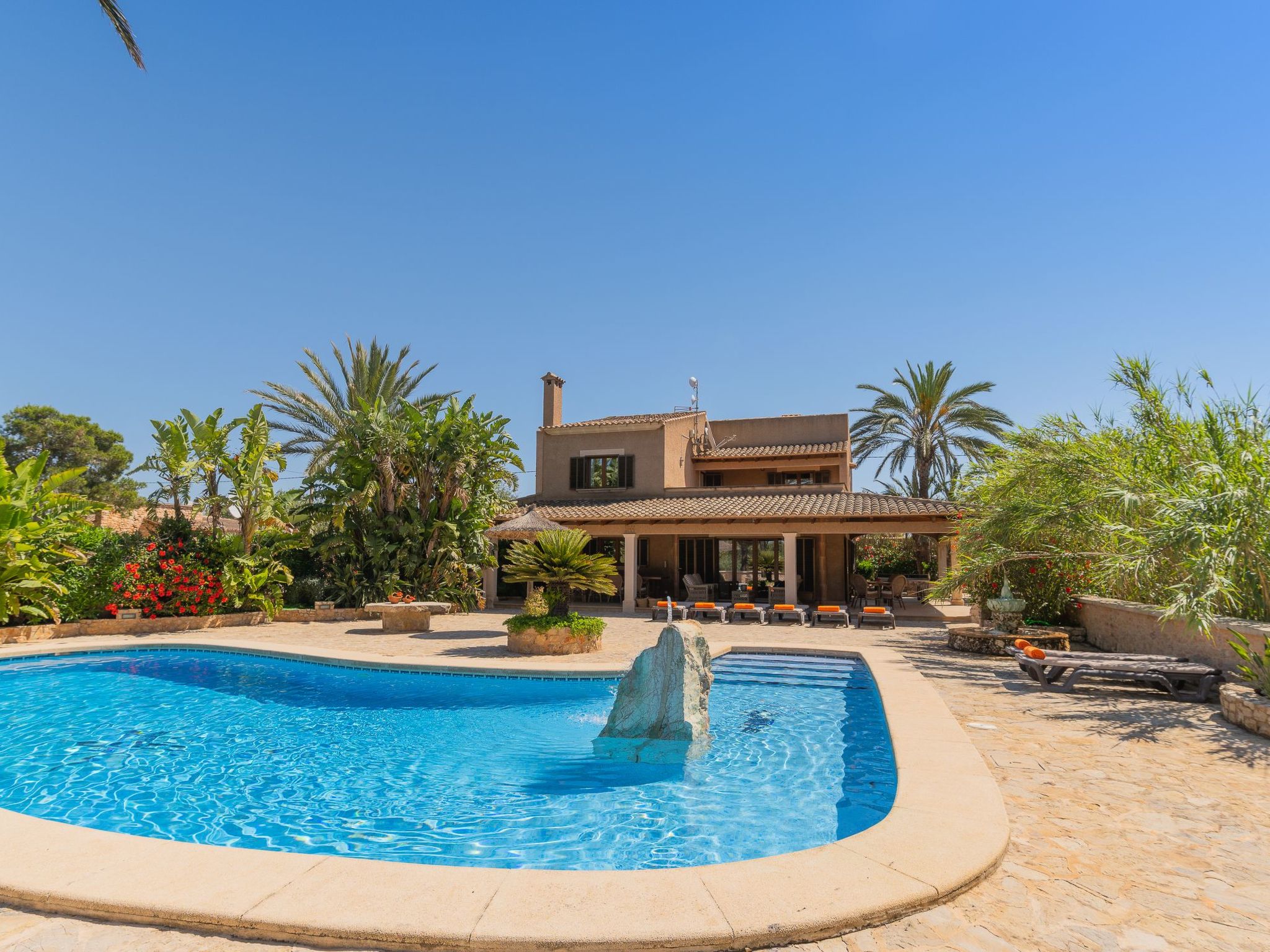 Jardi-Image-tags.info