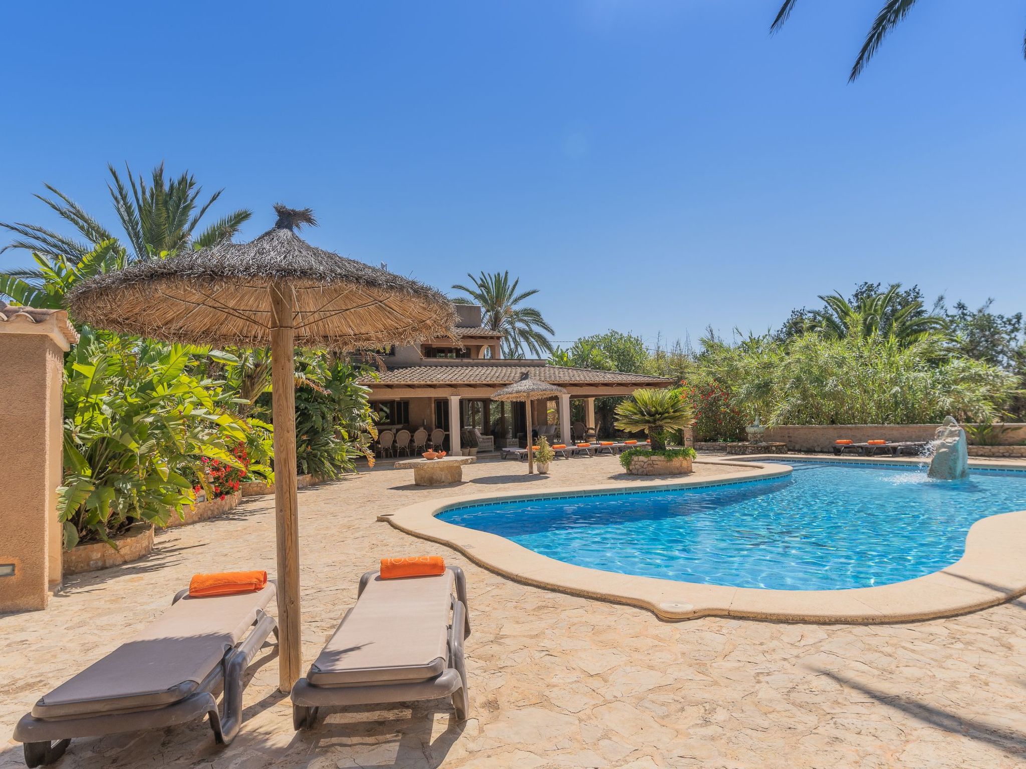 Jardi-Image-tags.info