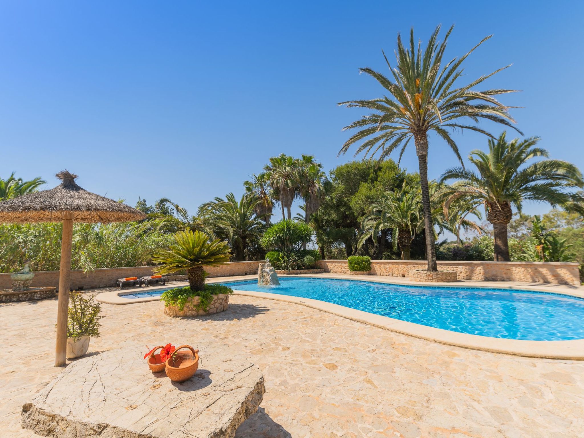 Jardi-Image-tags.info