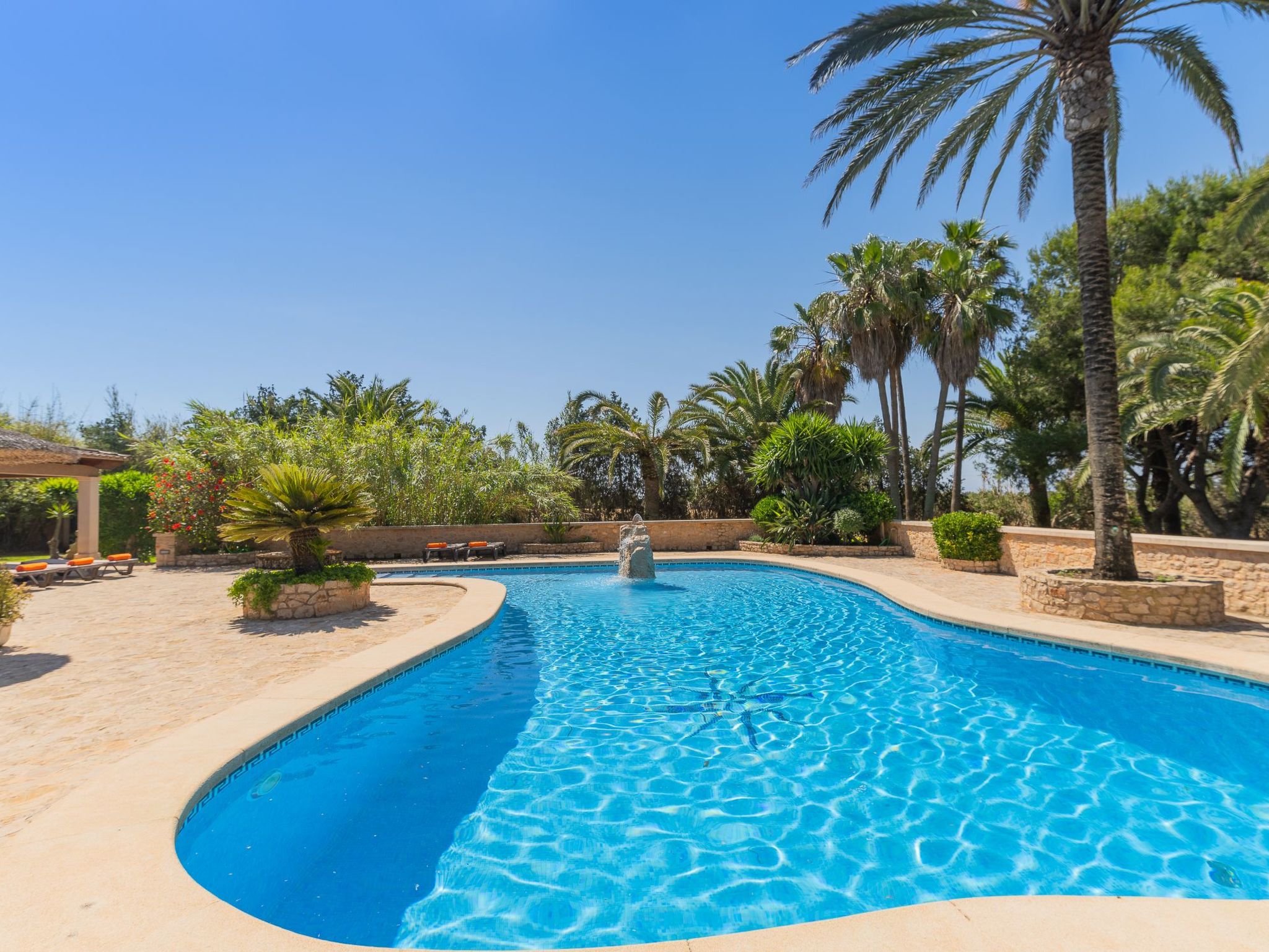 Jardi-Image-tags.info