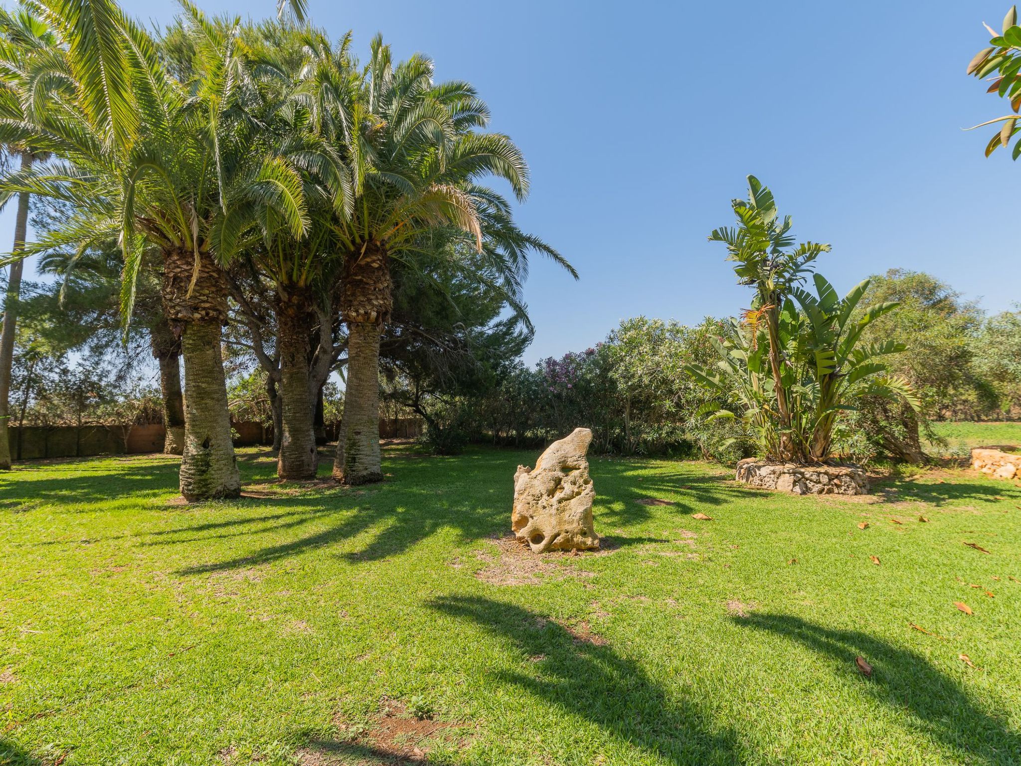 Jardi-Image-tags.info