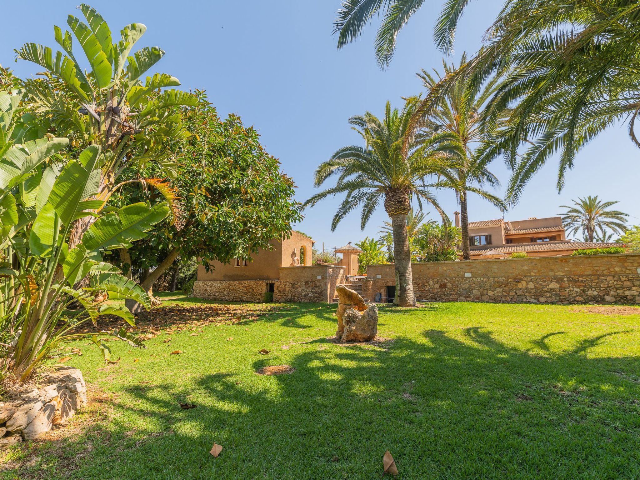 Jardi-Image-tags.info