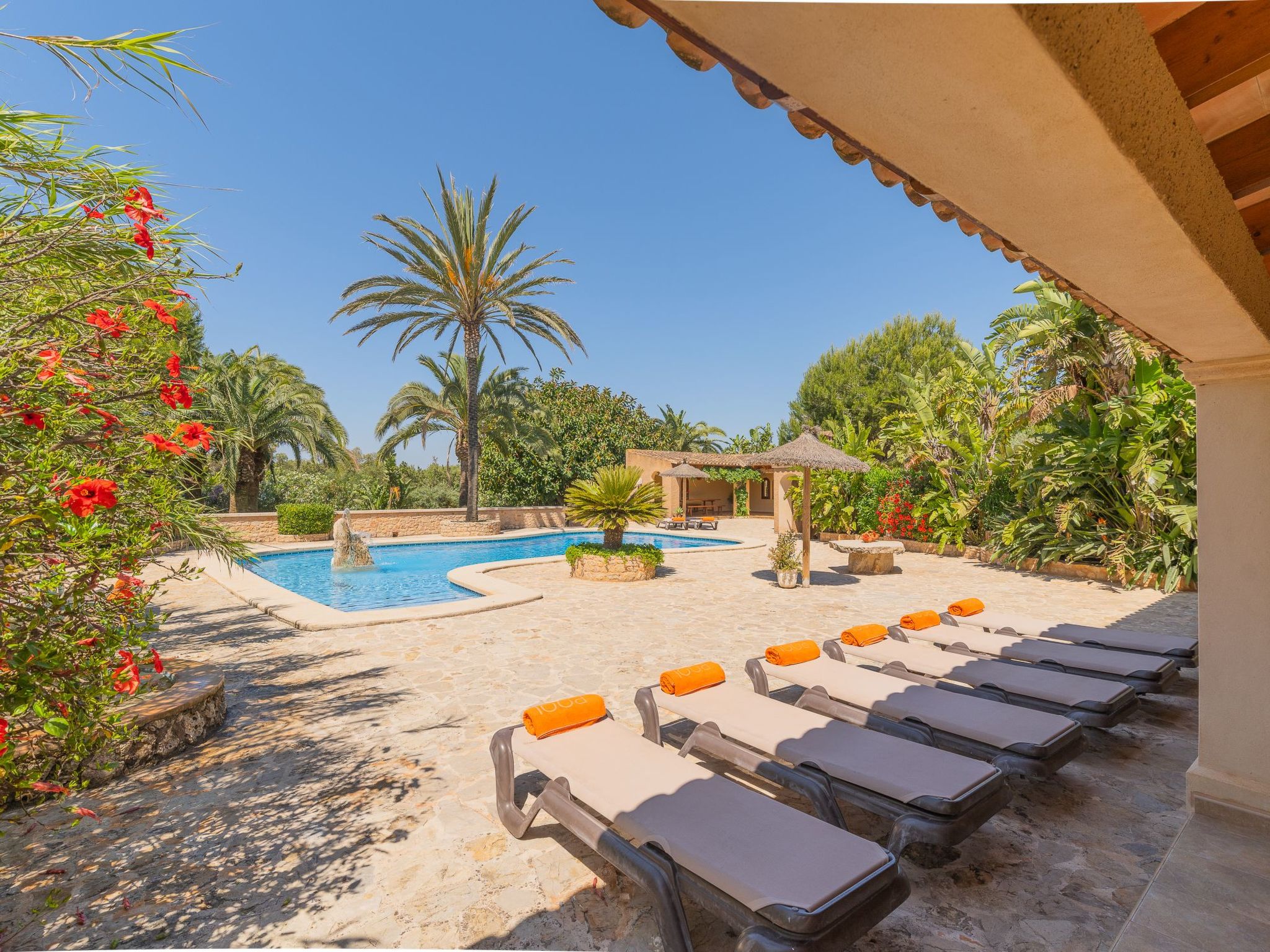 Jardi-Image-tags.info